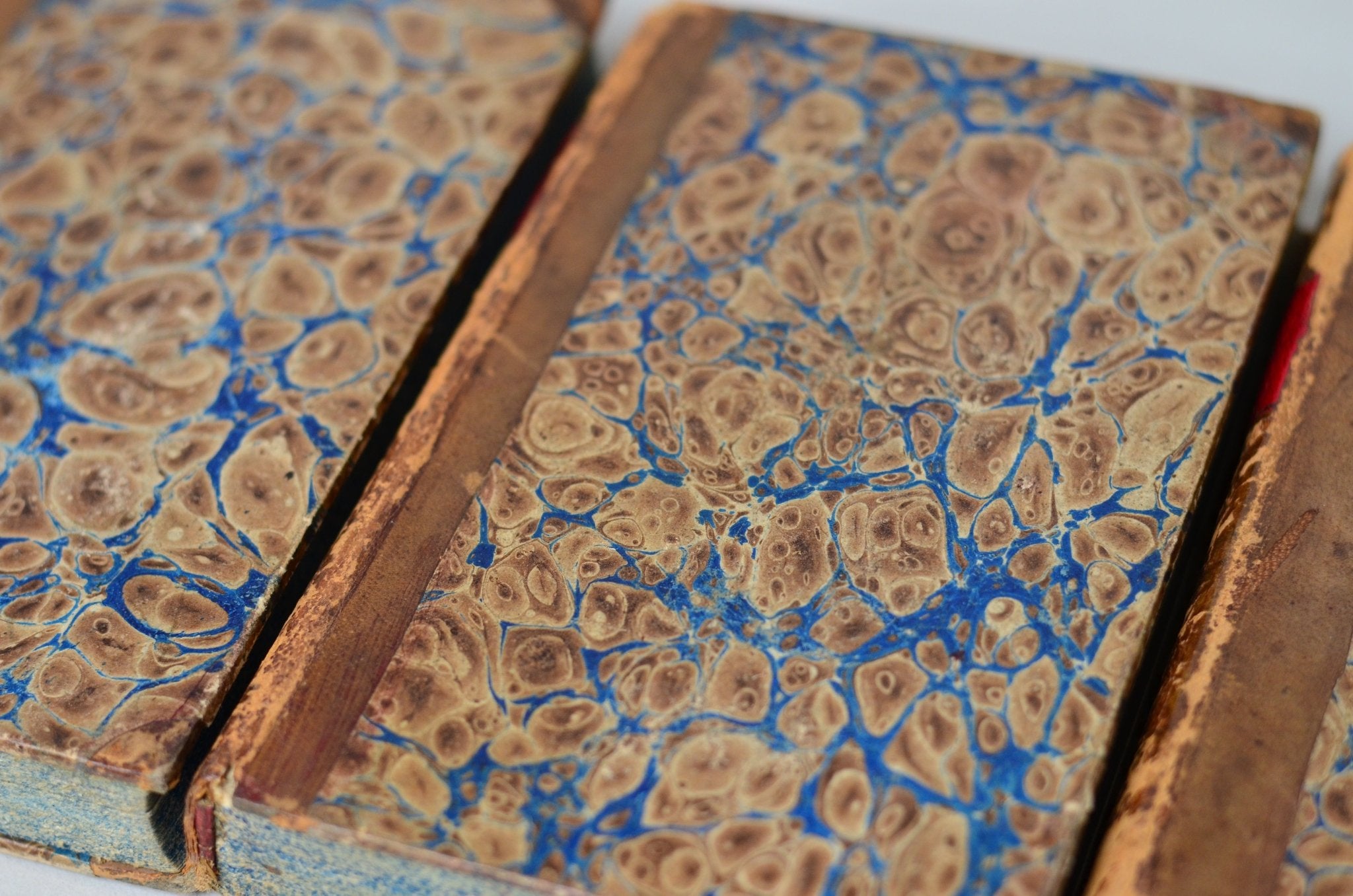 Antique Leather Bound Book Decor - Brown, Revue de Paris, 1834 - 1843 - Brookfield Books