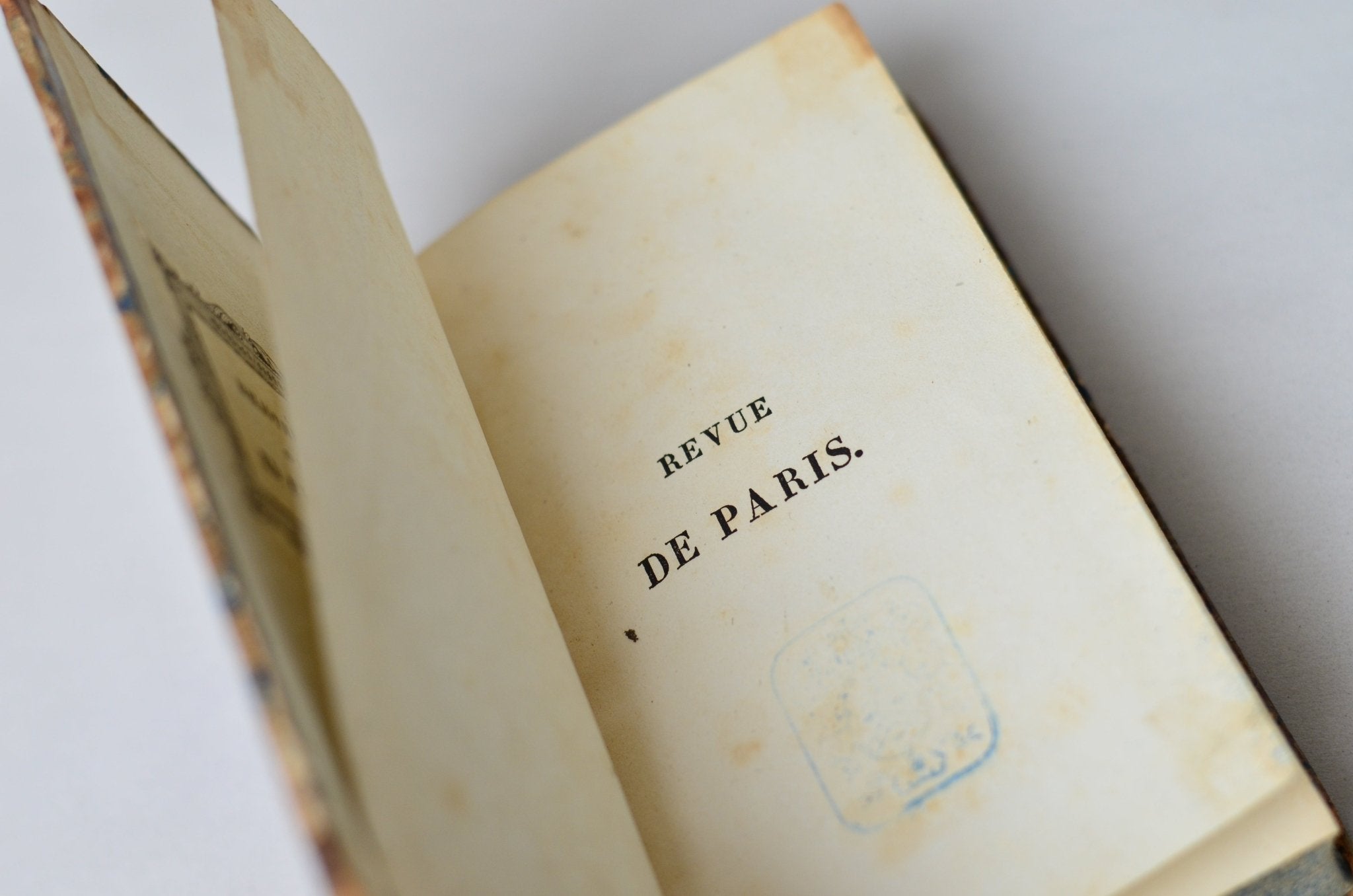 Antique Leather Bound Book Decor - Brown, Revue de Paris, 1834 - 1843 - Brookfield Books