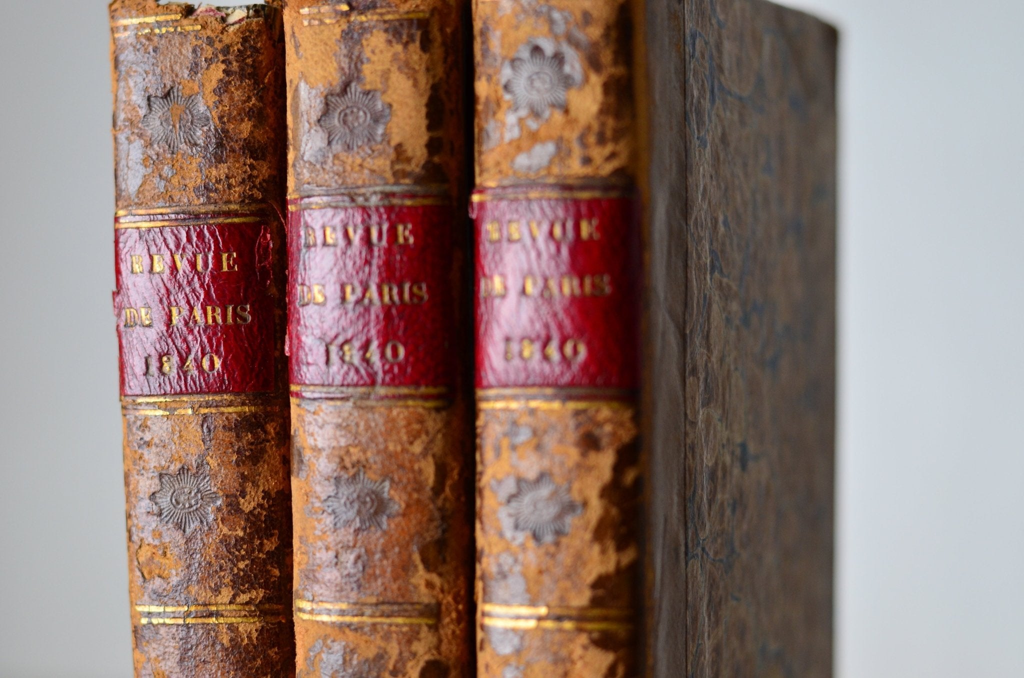 Antique Leather Bound Book Decor - Brown, Revue de Paris, 1834 - 1843 - Brookfield Books