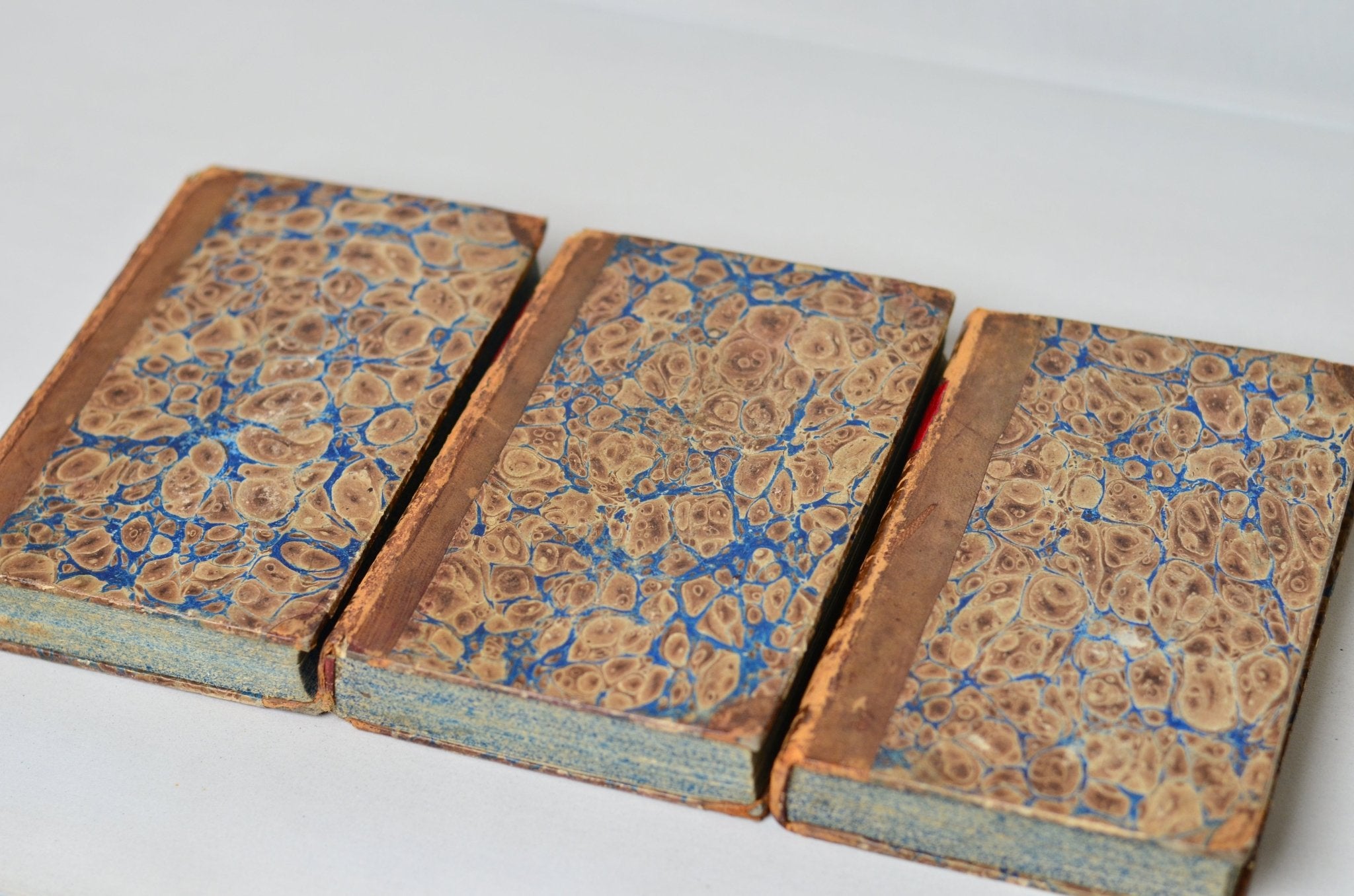 Antique Leather Bound Book Decor - Brown, Revue de Paris, 1834 - 1843 - Brookfield Books