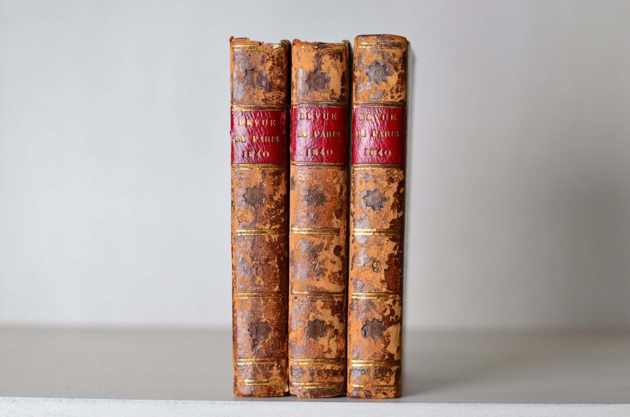 Antique Leather Bound Book Decor - Brown, Revue de Paris, 1834 - 1843 - Brookfield Books