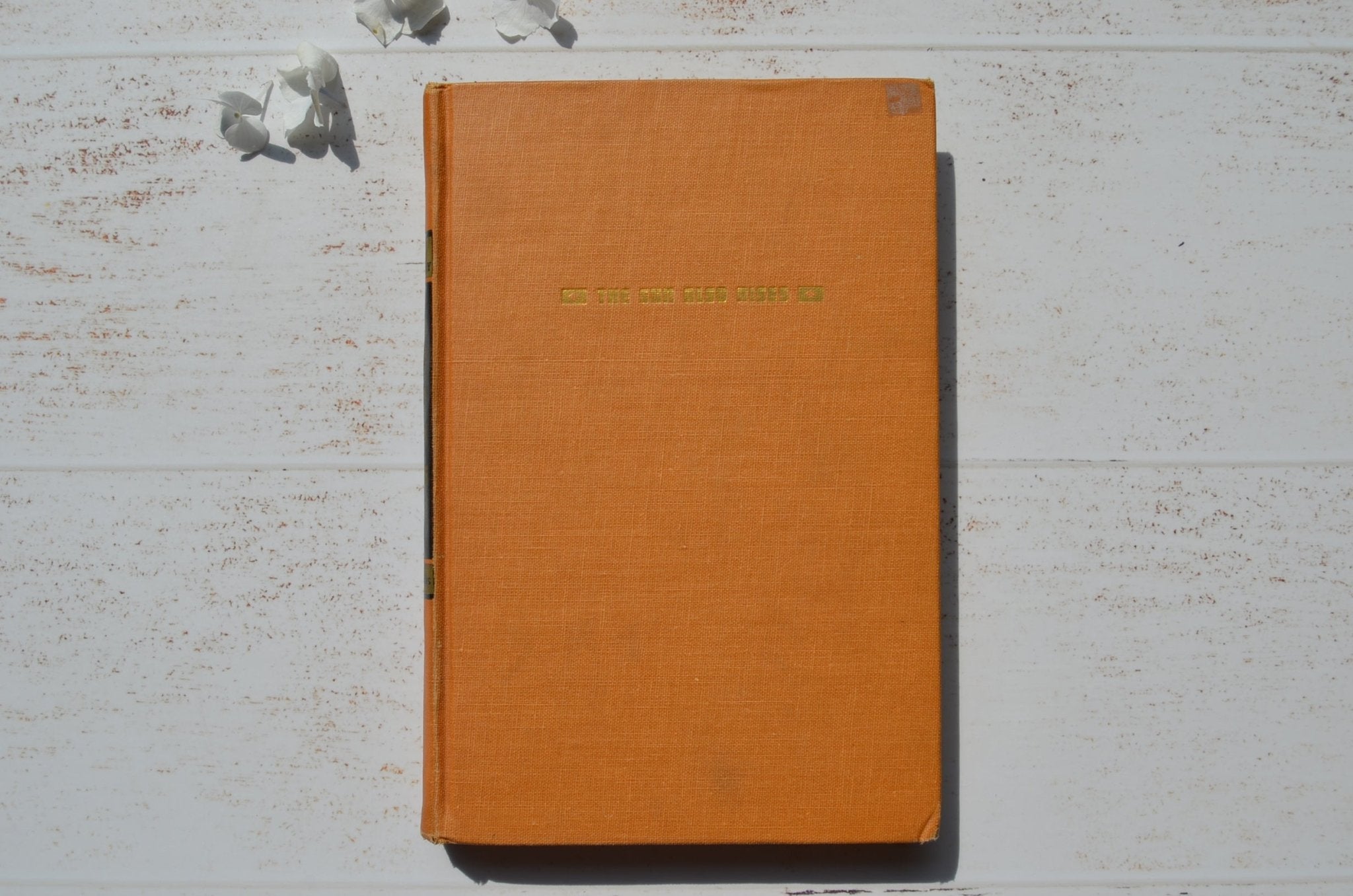 1954 Edition – The Sun Also Rises by Ernest Hemingway - Brookfield Books