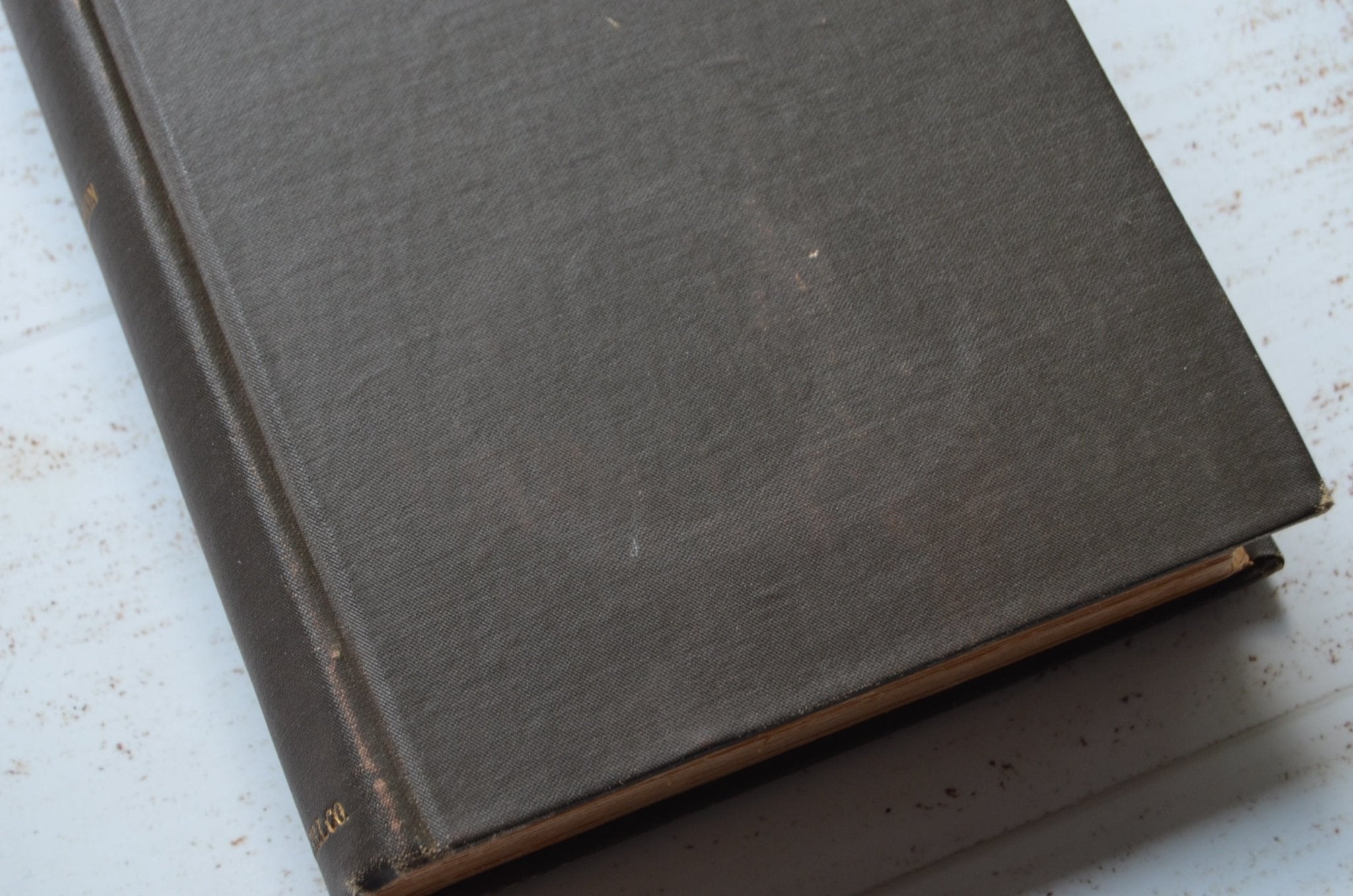 Antique Cloth Bound Book Décor – Complete Works of John Ruskin 1891 - Artists - Brookfield Books