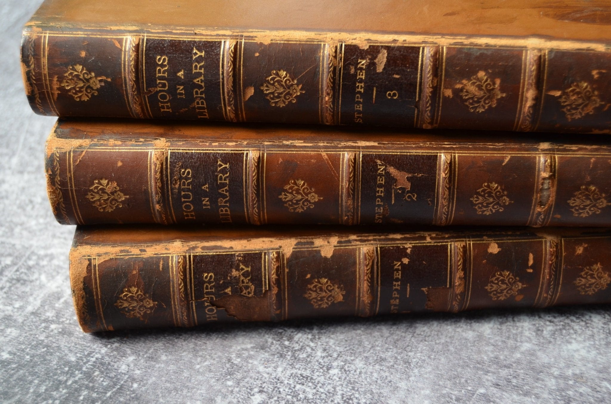 Antique Leather Bound – Hours in a Library by Leslie Stephen 1899 - Brookfield Books