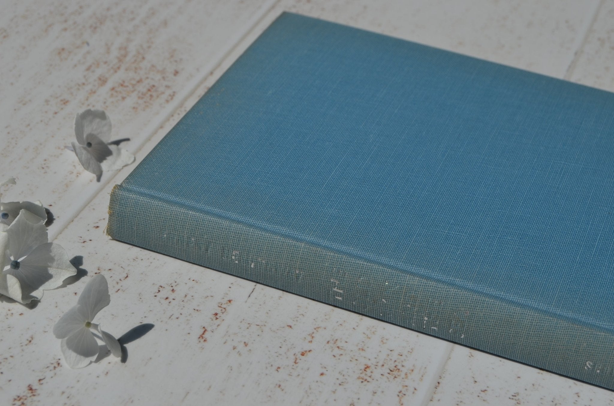 Early Book Club Edition – The Old Man and the Sea by Ernest Hemingway 1952 - Brookfield Books