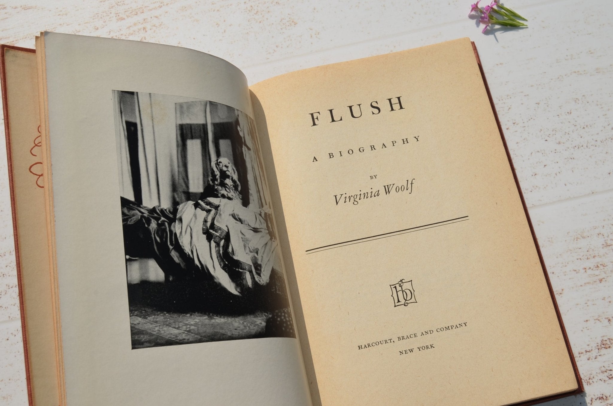 First Edition – Flush: A Biography by Virginia Woolf 1933 - Brookfield Books