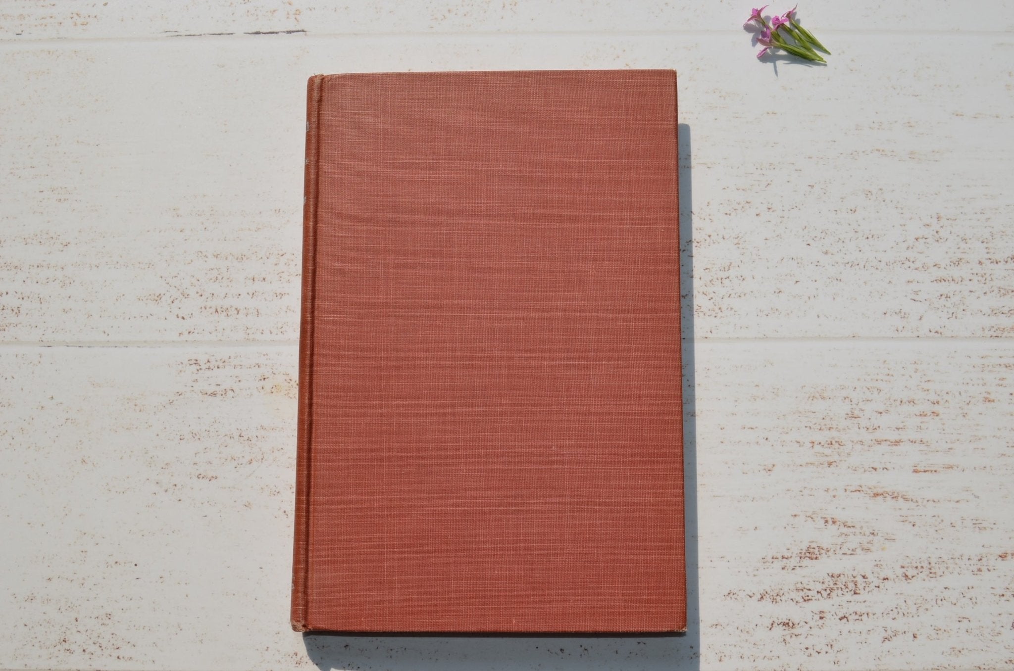 First Edition – Flush: A Biography by Virginia Woolf 1933 - Brookfield Books