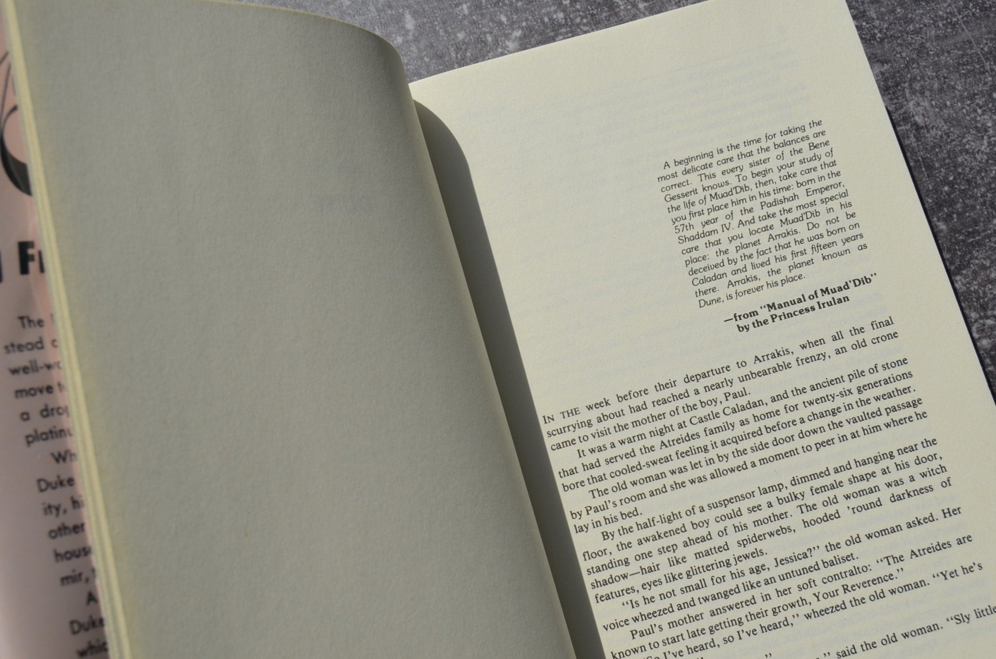New Edition of Dune by Frank Herbert in a Facsimile First Edition Dust Jacket - Brookfield Books