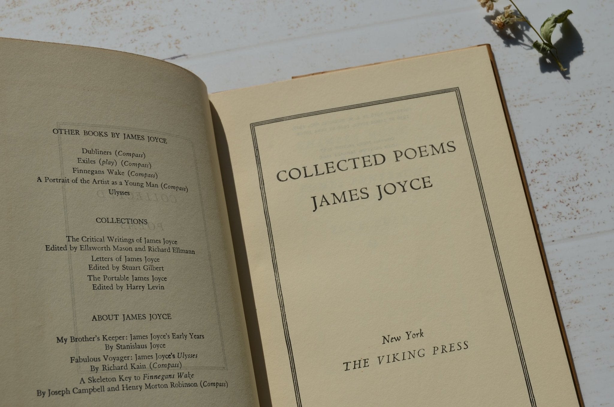 Sixth Printing – Collected Poems by James Joyce 1965 - Brookfield Books
