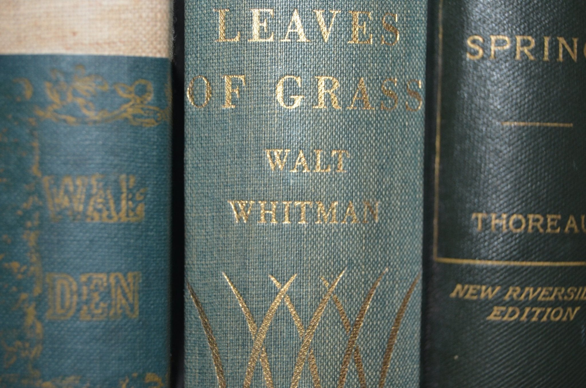 Transcendentalist Nature Set – Leaves of Grass by Walt Whitman & Walden by Henry Thoreau - Brookfield Books