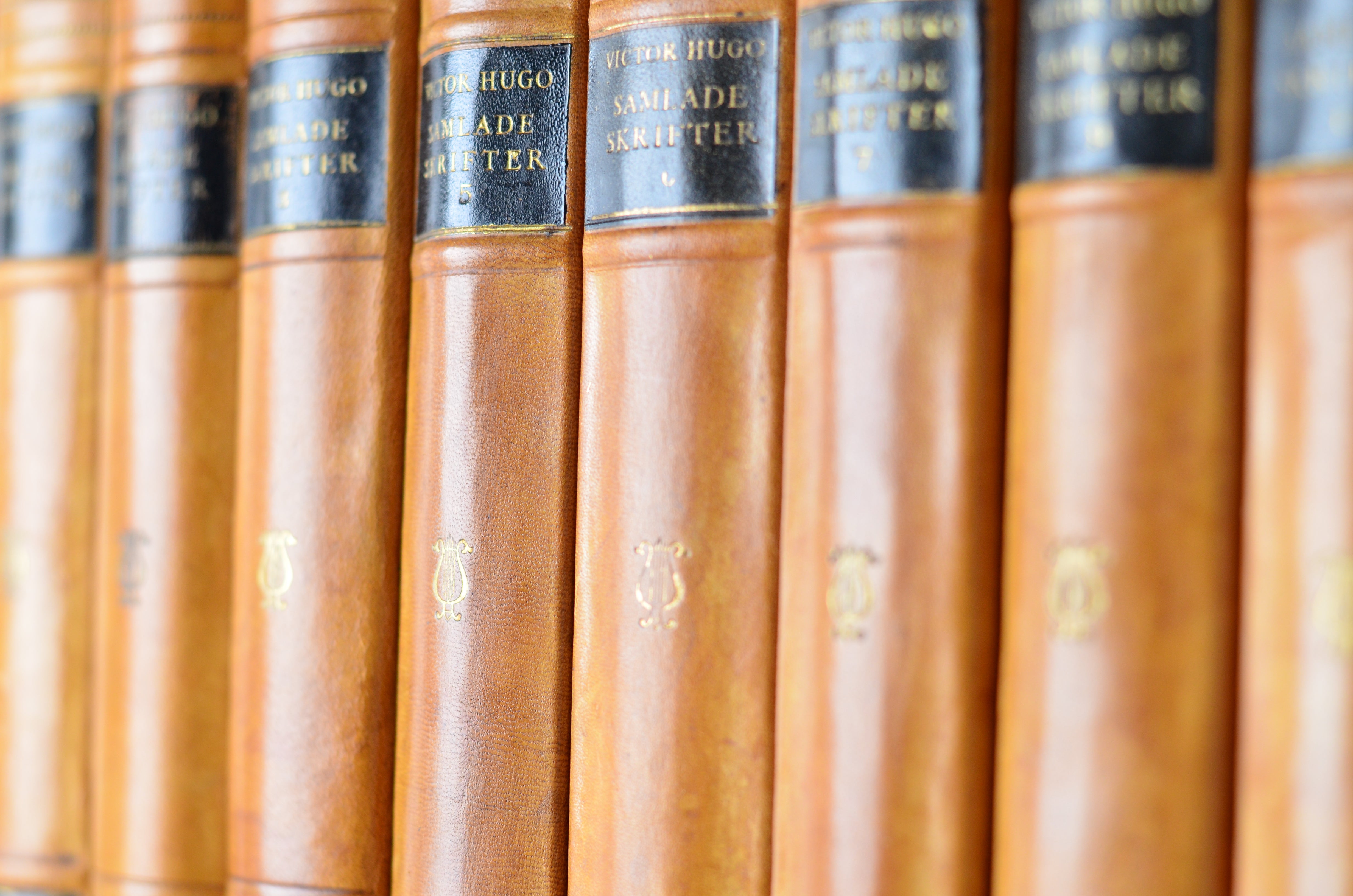 Light Brown Antique Leather Book Set – 9 Books, Foreign Language, Victor Hugo