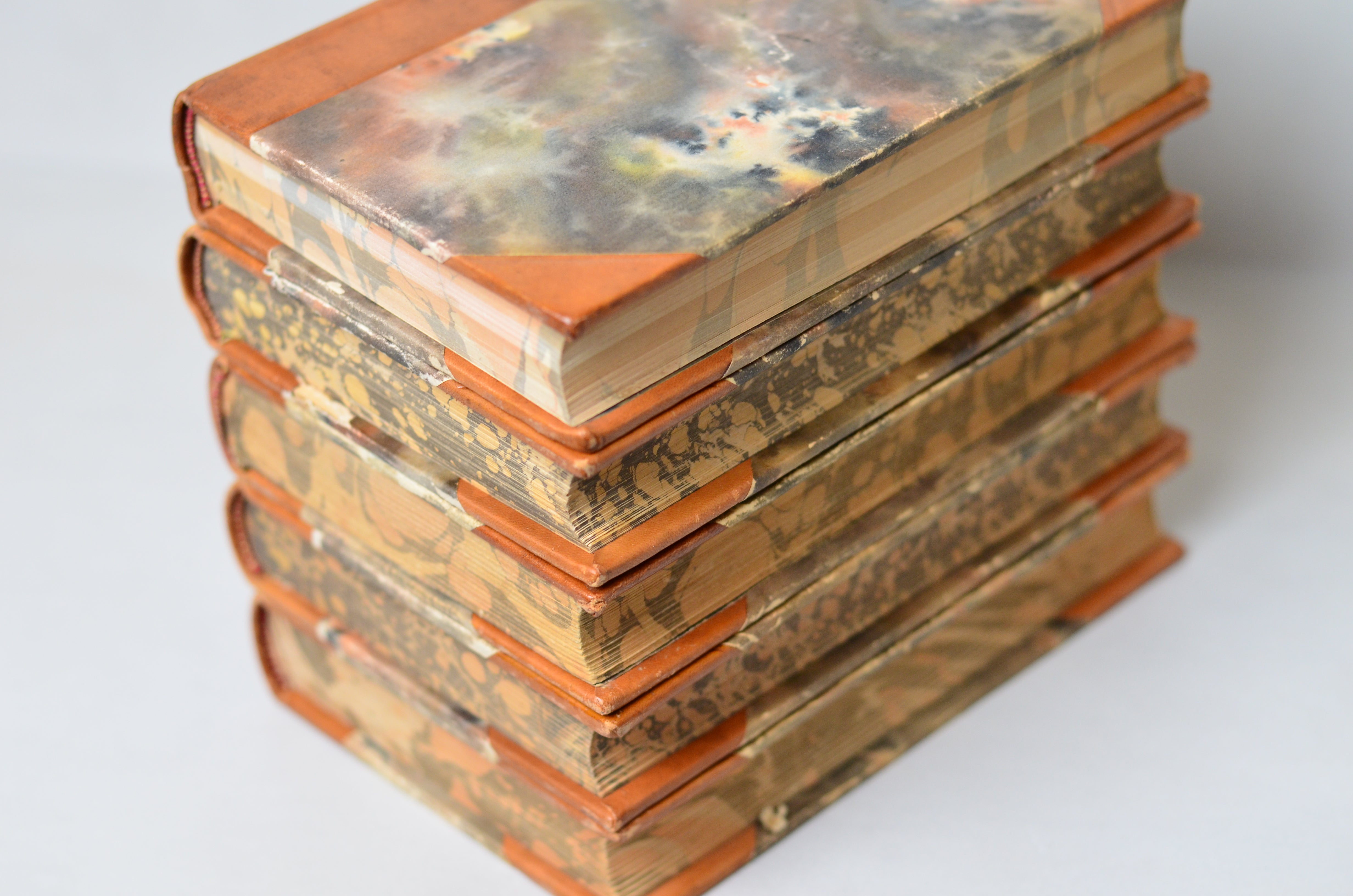 Light Brown Antique Leather Book Set – 9 Books, Foreign Language, Victor Hugo