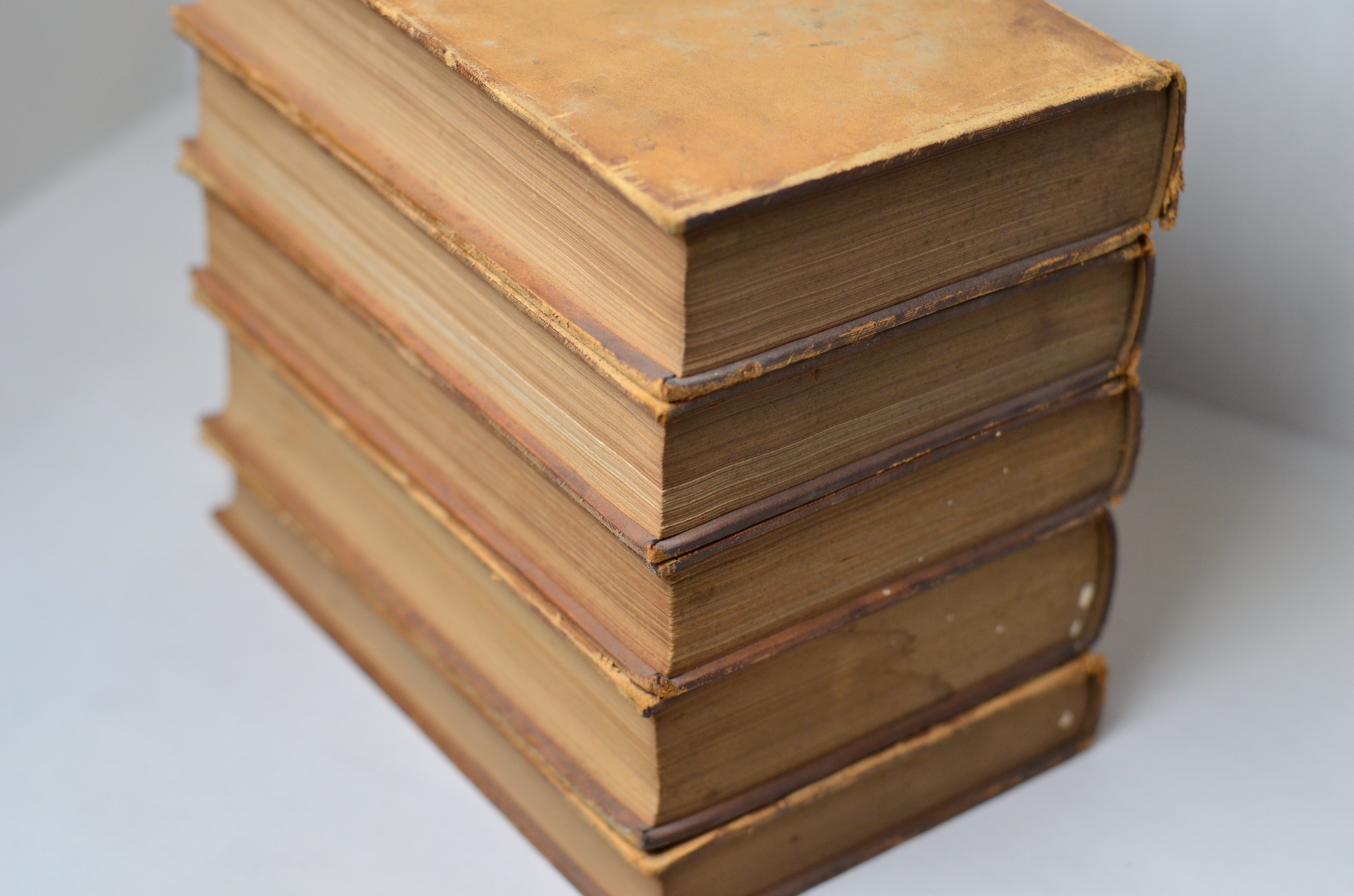 Light Brown Antique Leather Book Set – 5 Books, Thomas Day