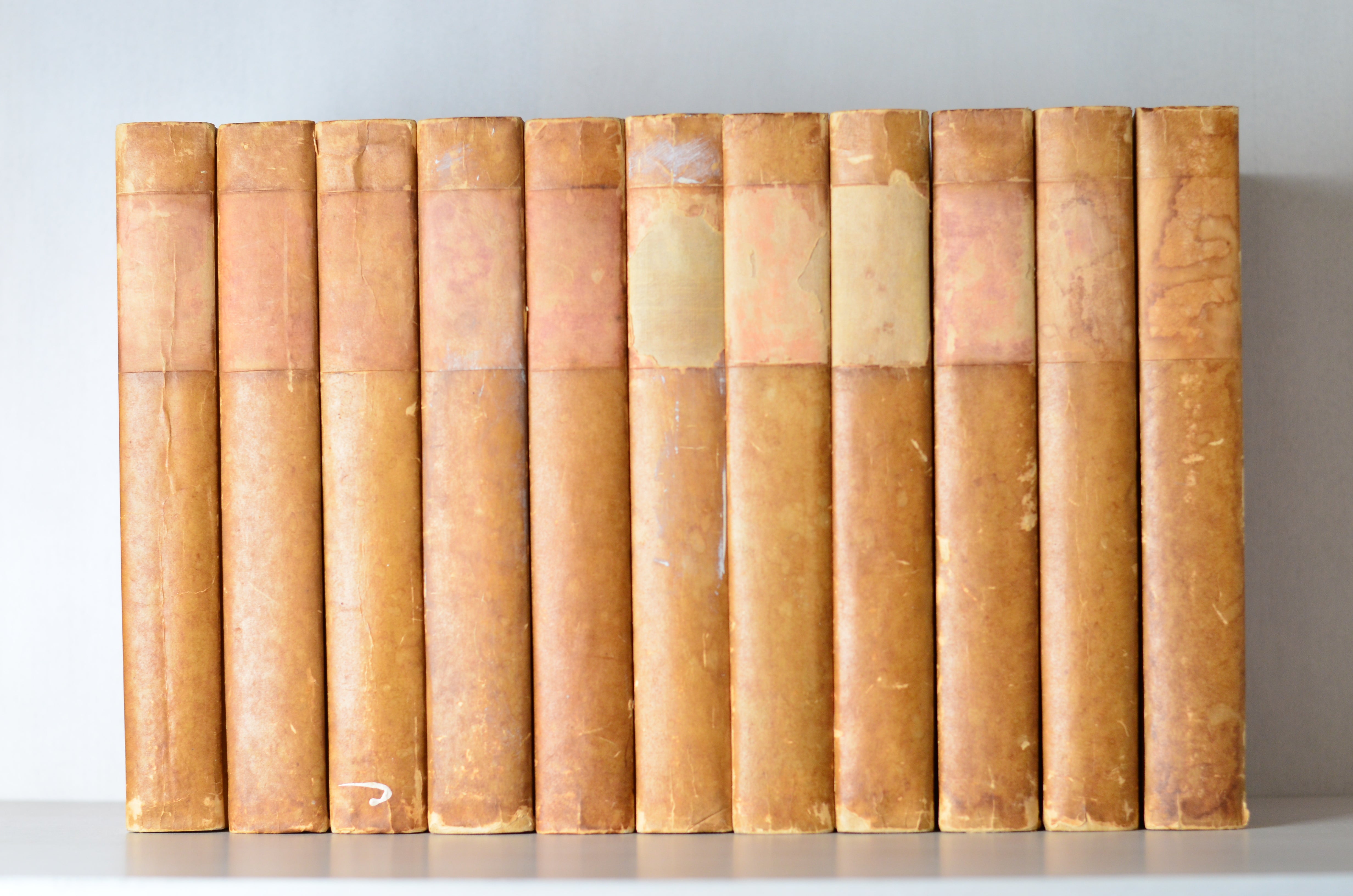 Light Brown Antique Cloth Book Set – 11 Books, Ellen Glassgow