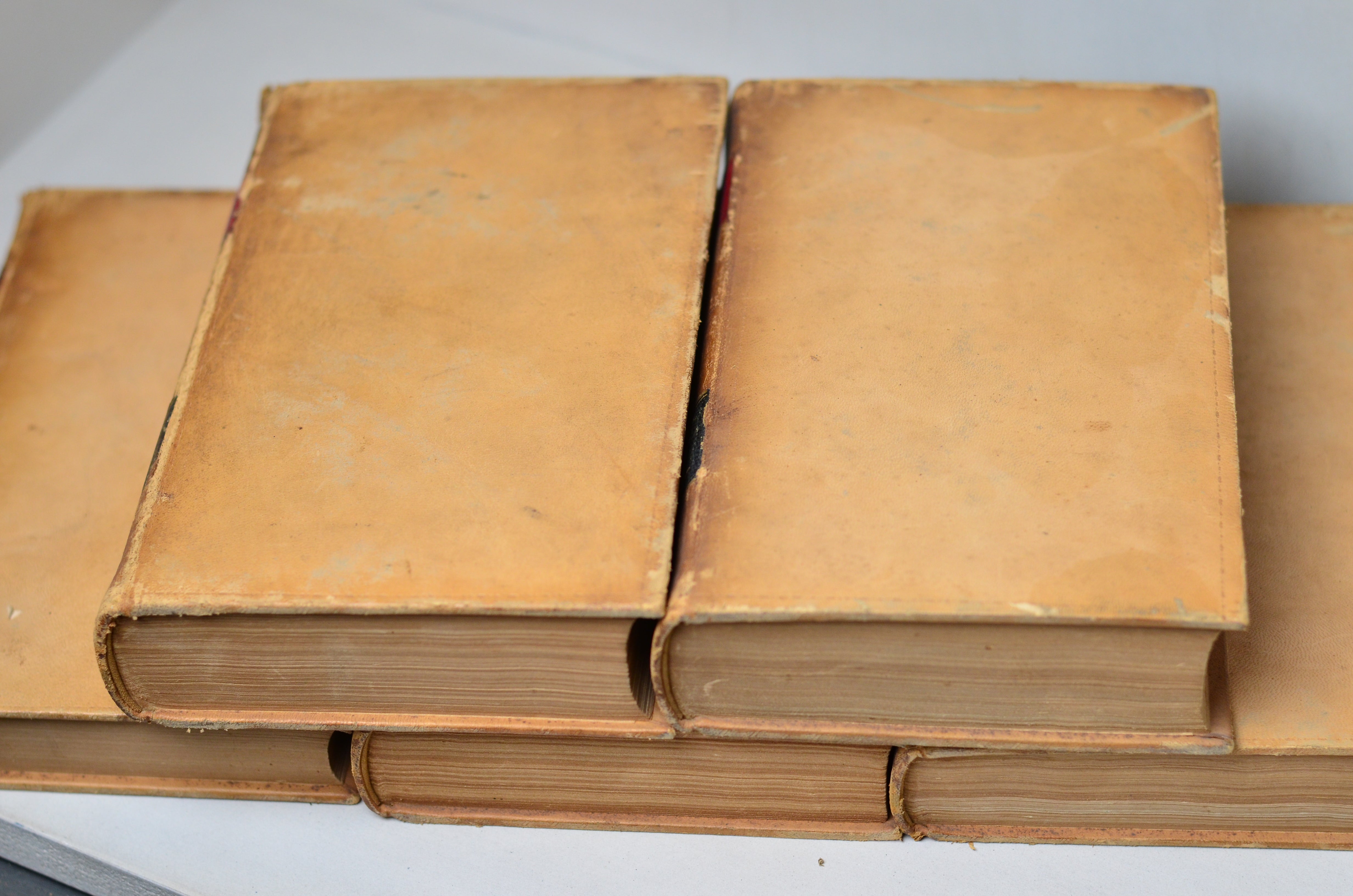Light Brown Antique Leather Book Set – 5 Books, Thomas Day