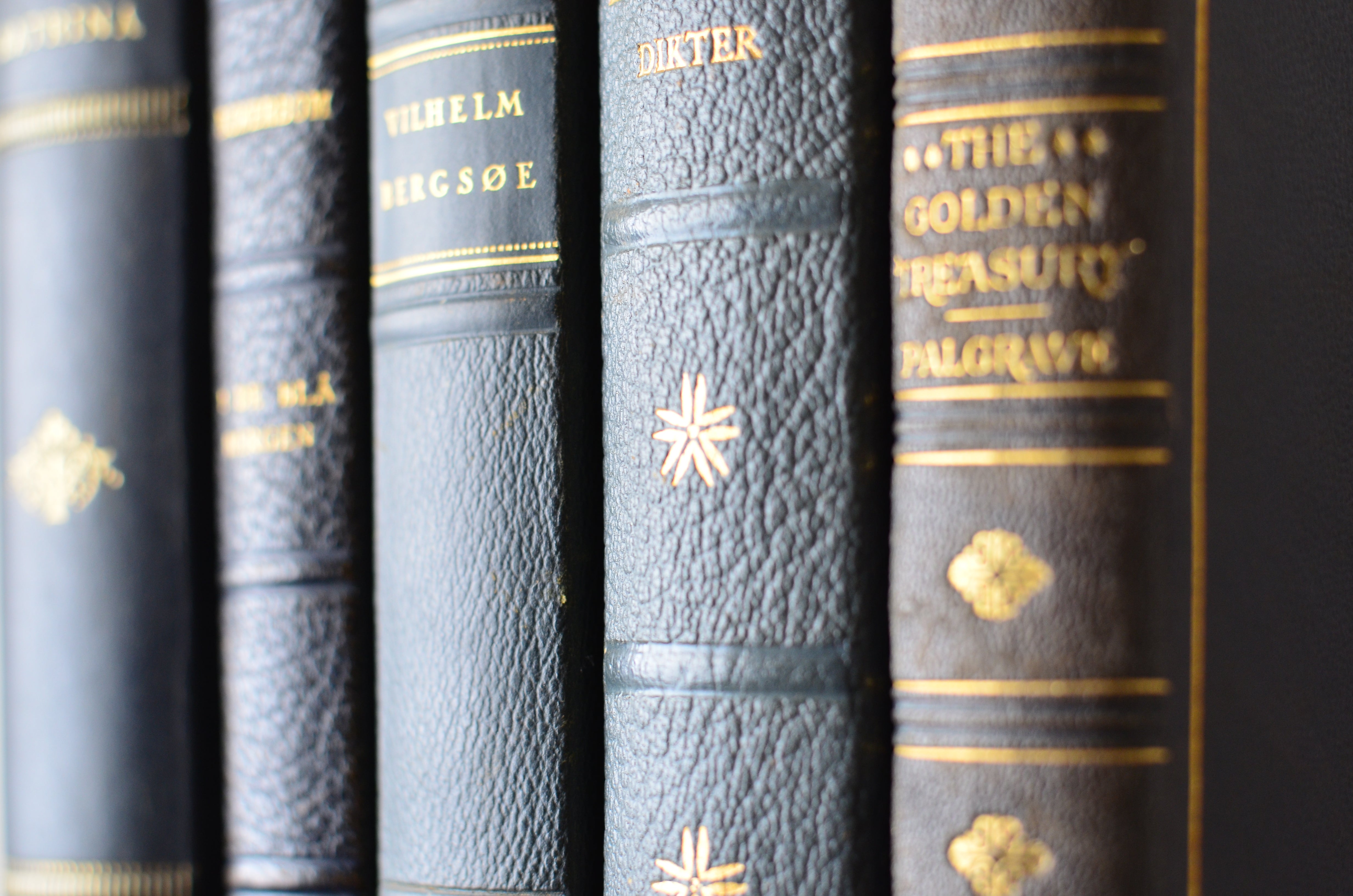 Blue Antique Leather Book Set – 5 Books, Foreign Authors