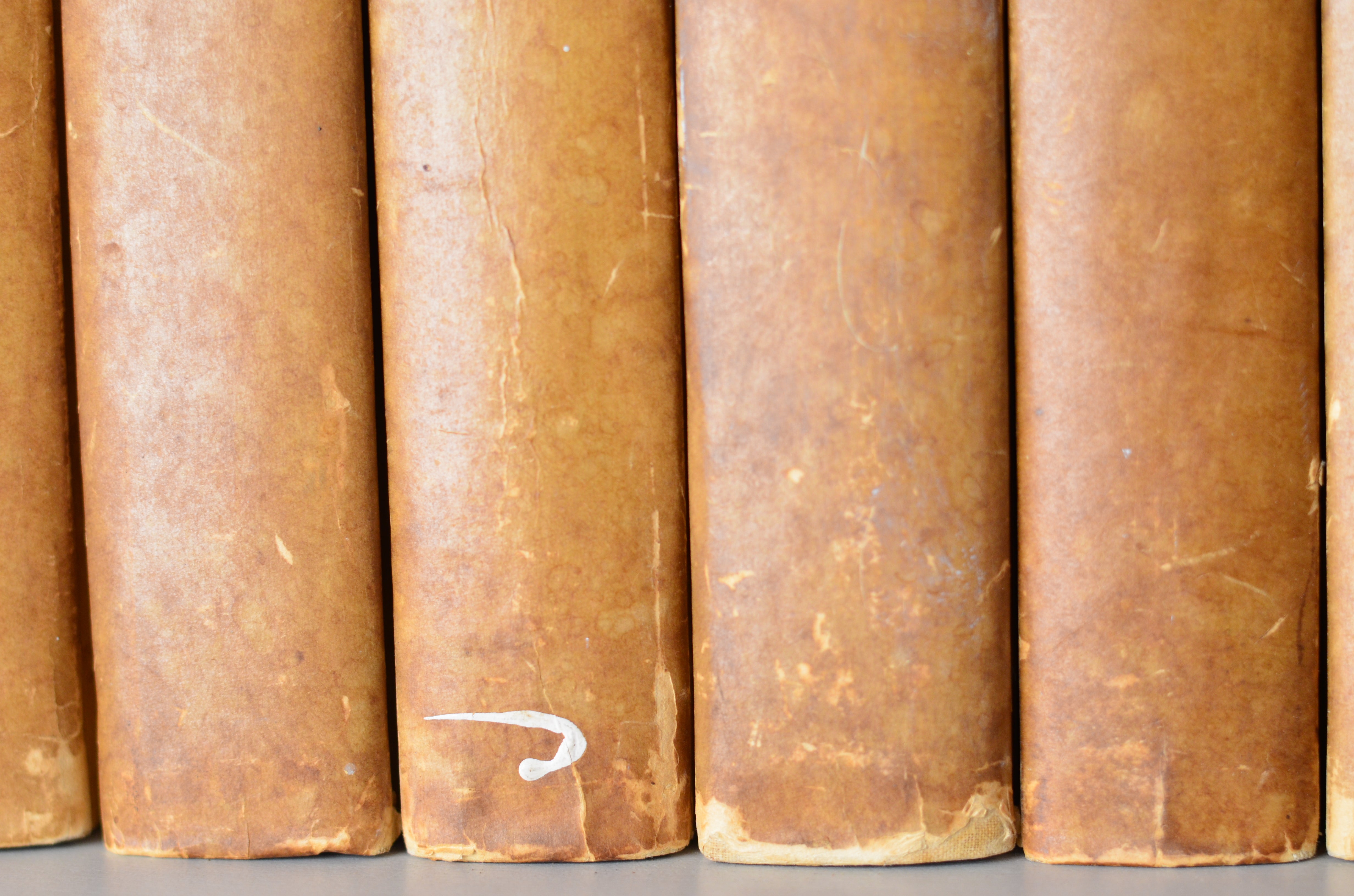 Light Brown Antique Cloth Book Set – 11 Books, Ellen Glassgow