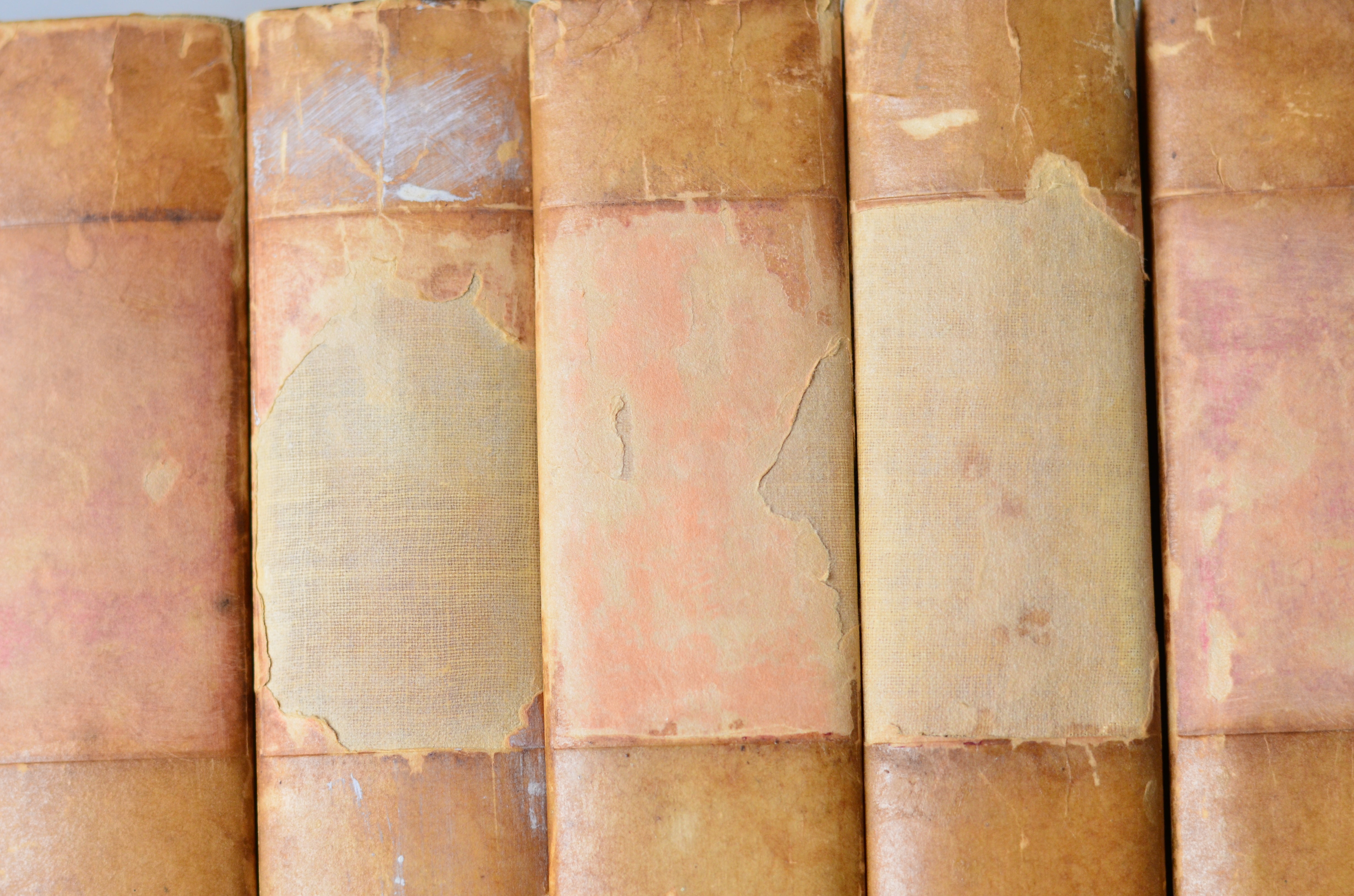 Light Brown Antique Cloth Book Set – 11 Books, Ellen Glassgow