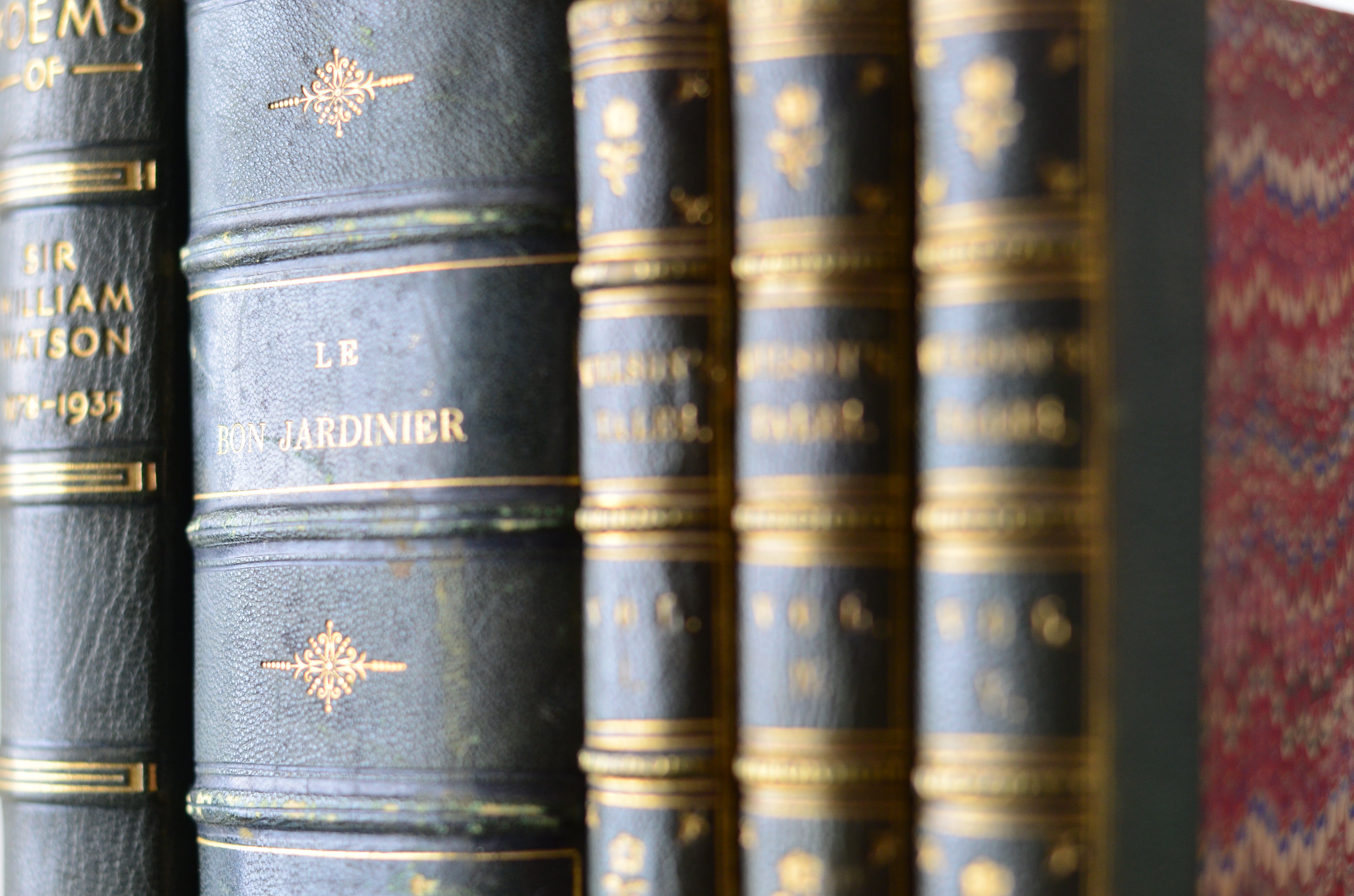 Green Antique Leather Book Set – 5 Books, Le Bon Jardinier