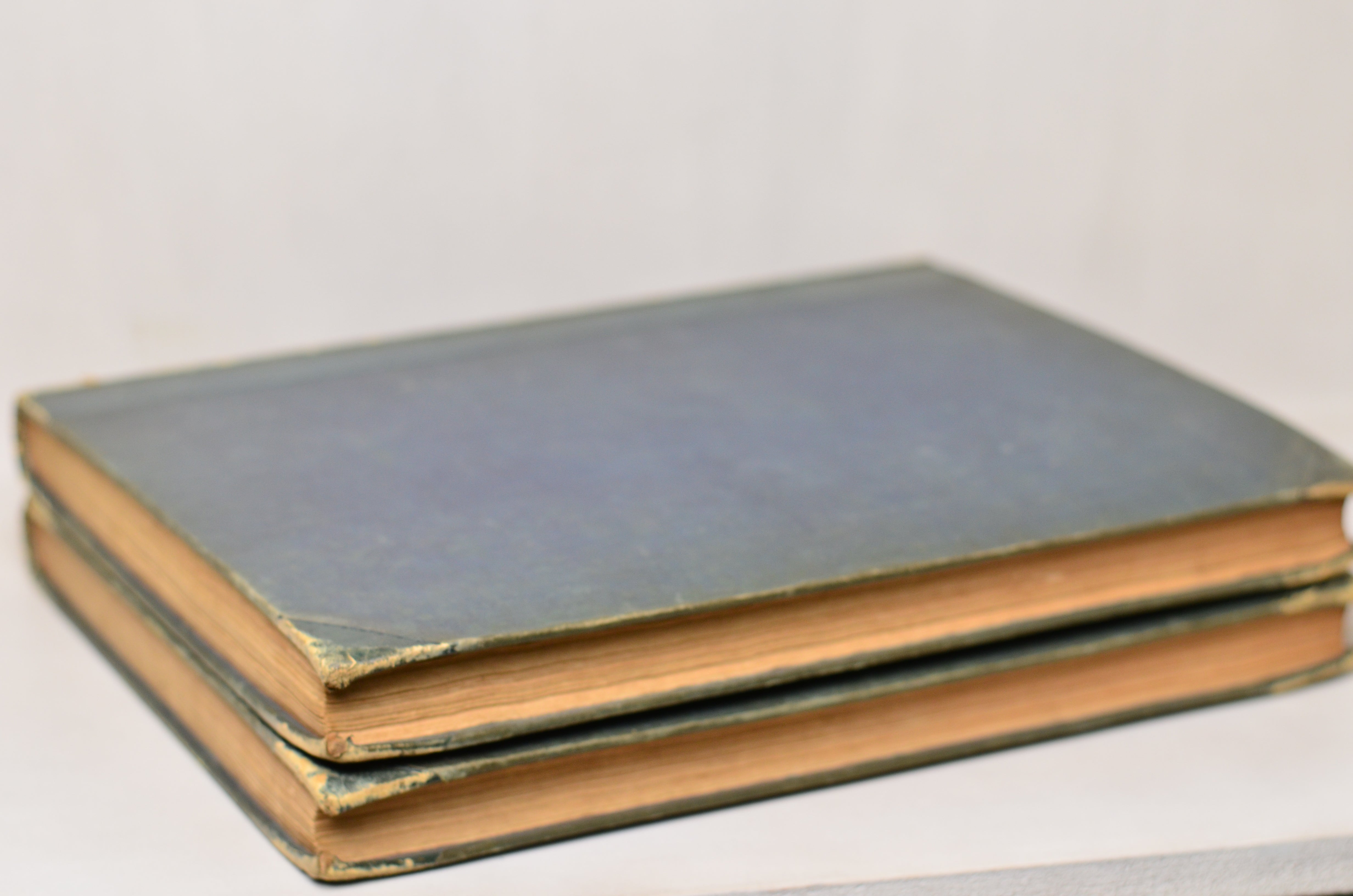Green Antique Leather Book Set – 2 Oversize Books, Pictorial Gallery of Arts 14" x 10"