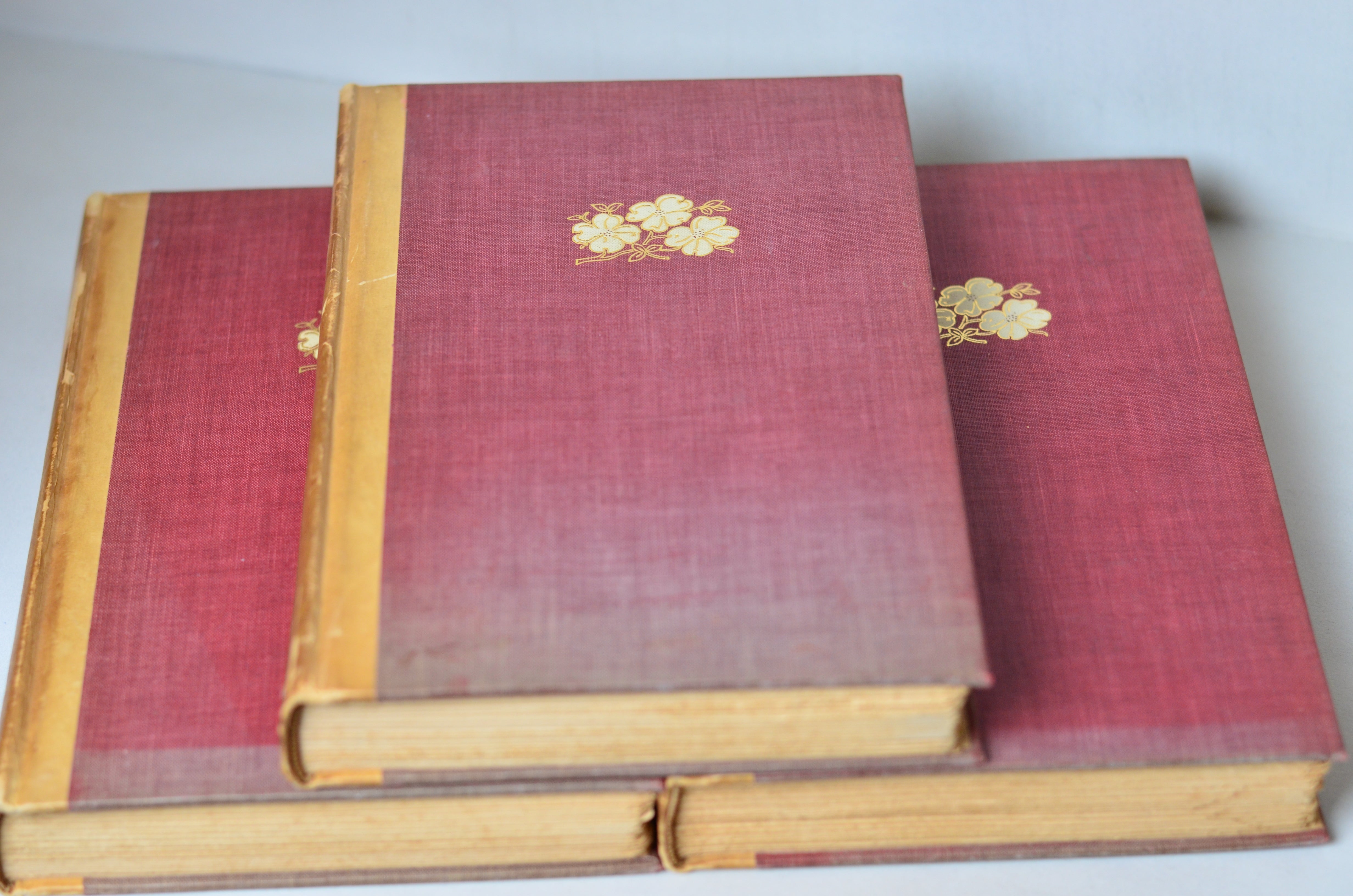 Light Brown Antique Cloth Book Set – 11 Books, Ellen Glassgow