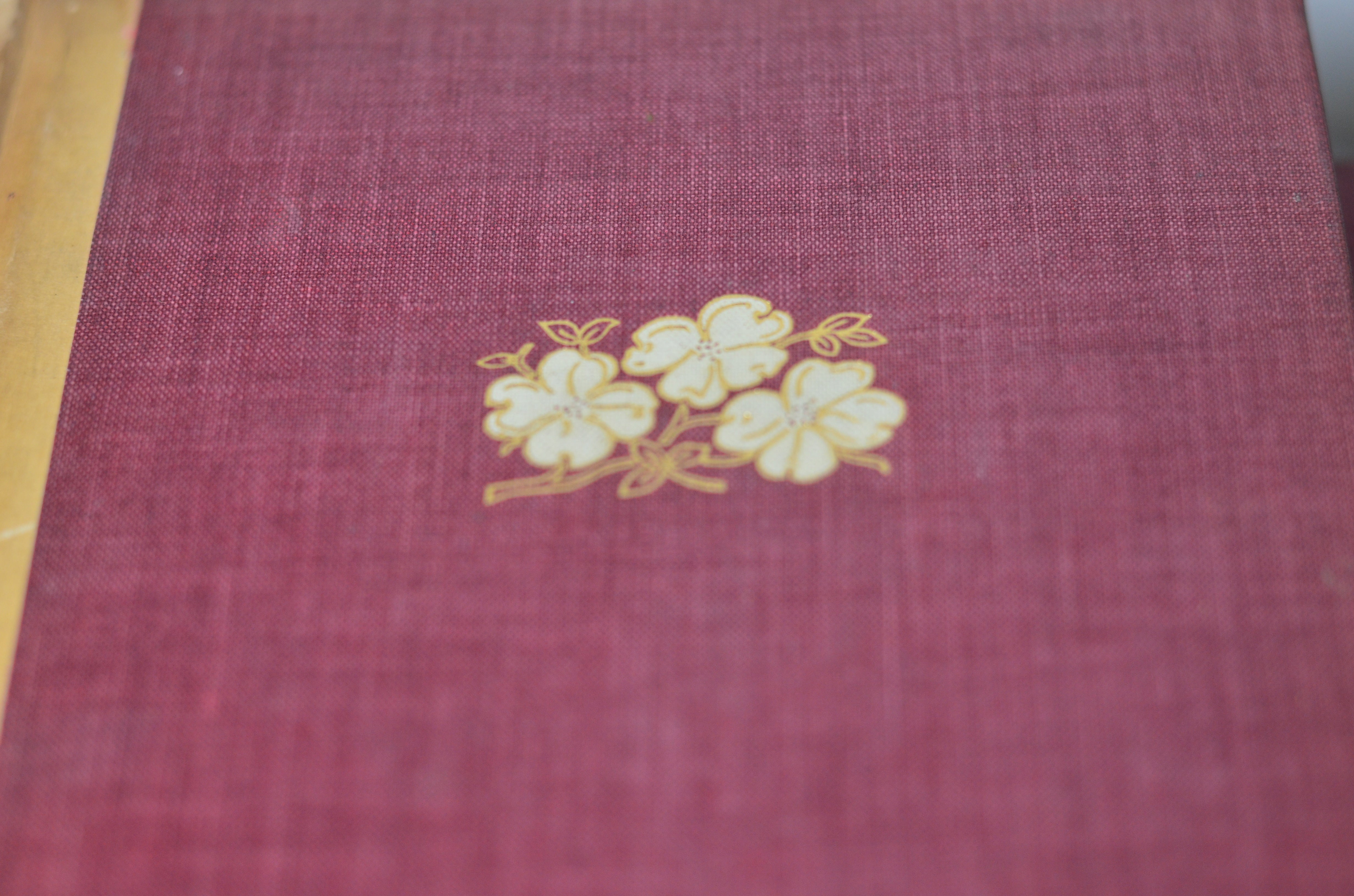 Light Brown Antique Cloth Book Set – 11 Books, Ellen Glassgow