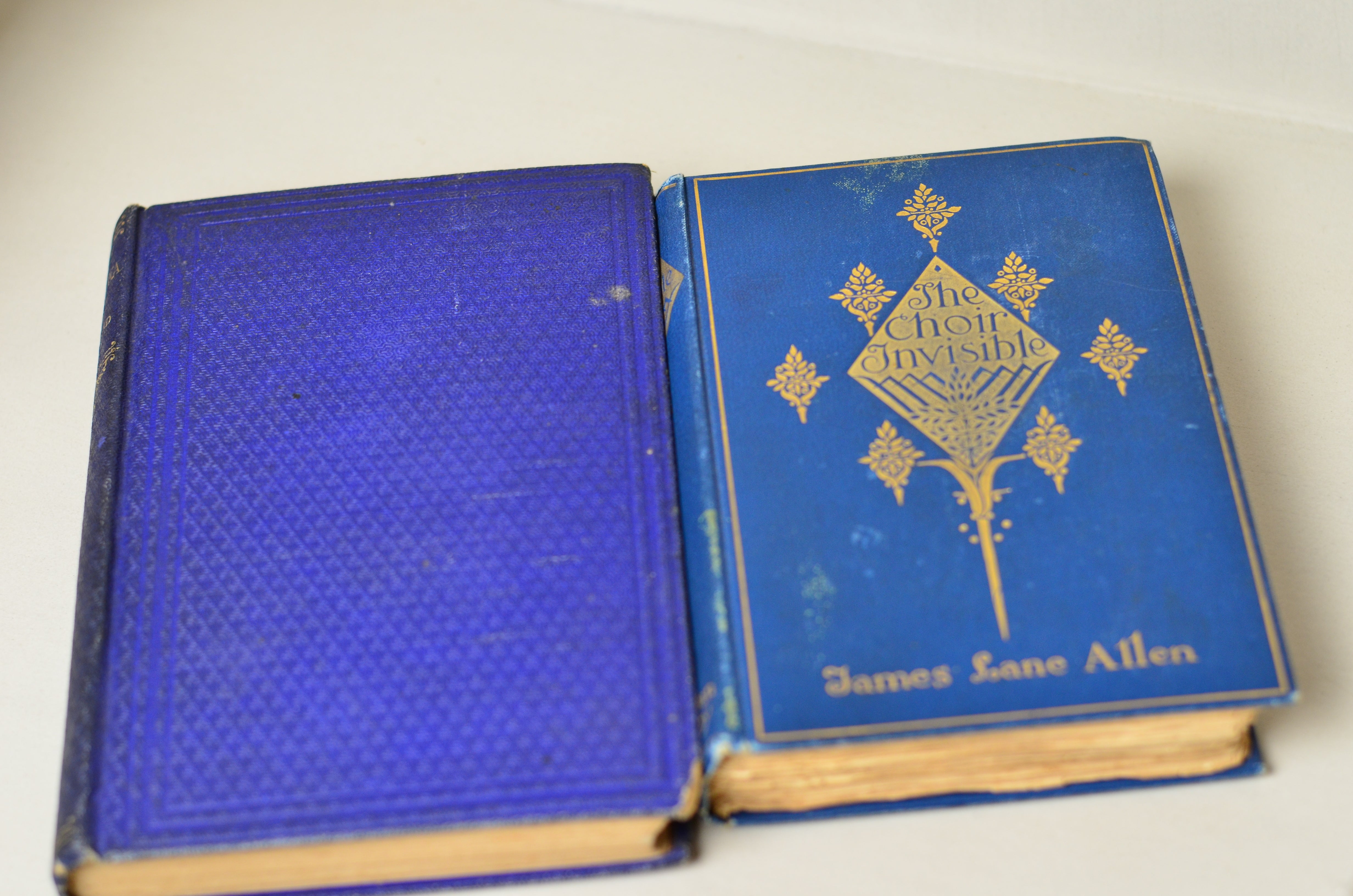 Blue Antique Cloth Book Set – 5 Books, James Lane Allen