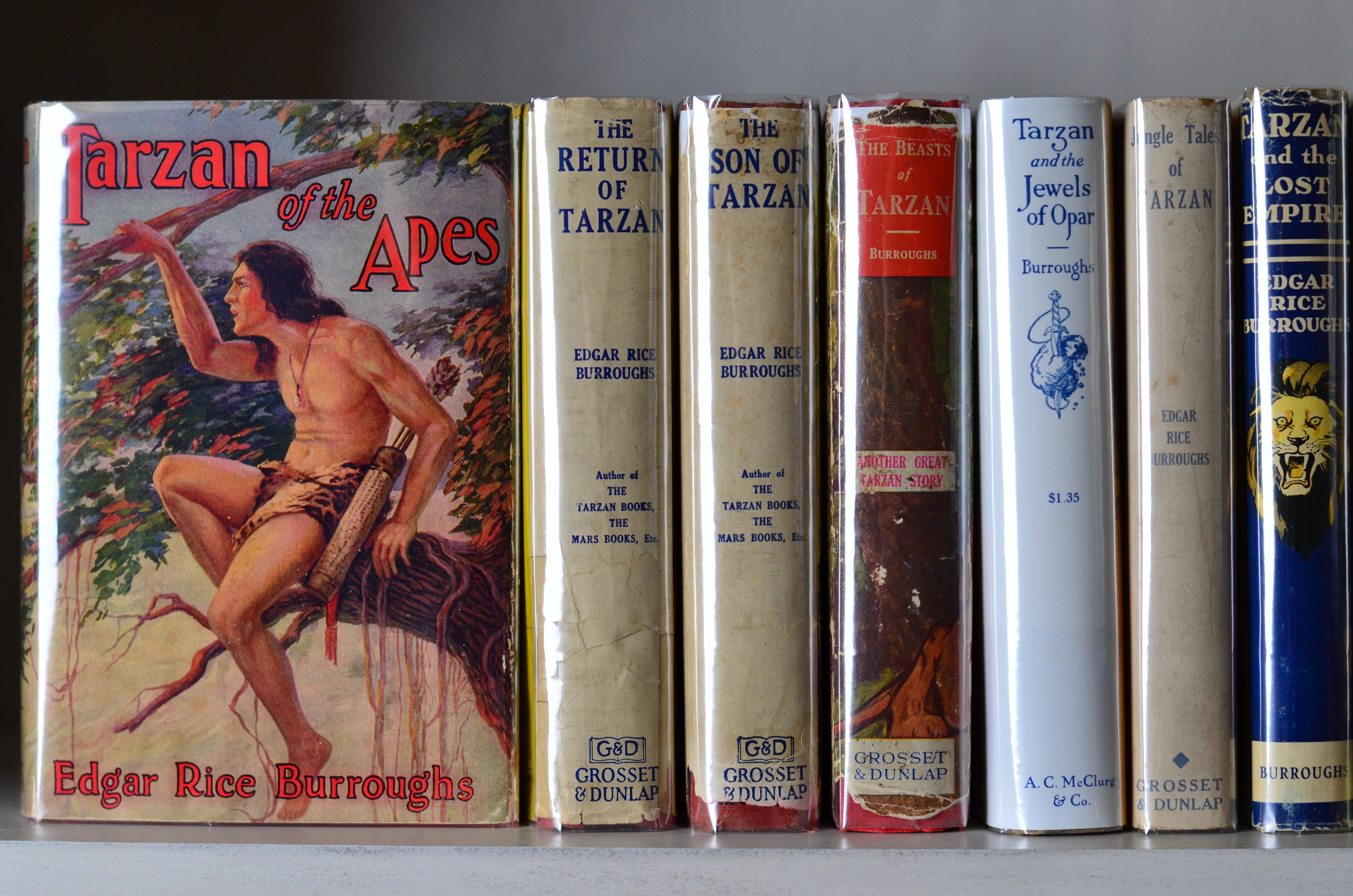 Tarzan of the Apes by Edgar Rice Burroughs - 14 Early Editions