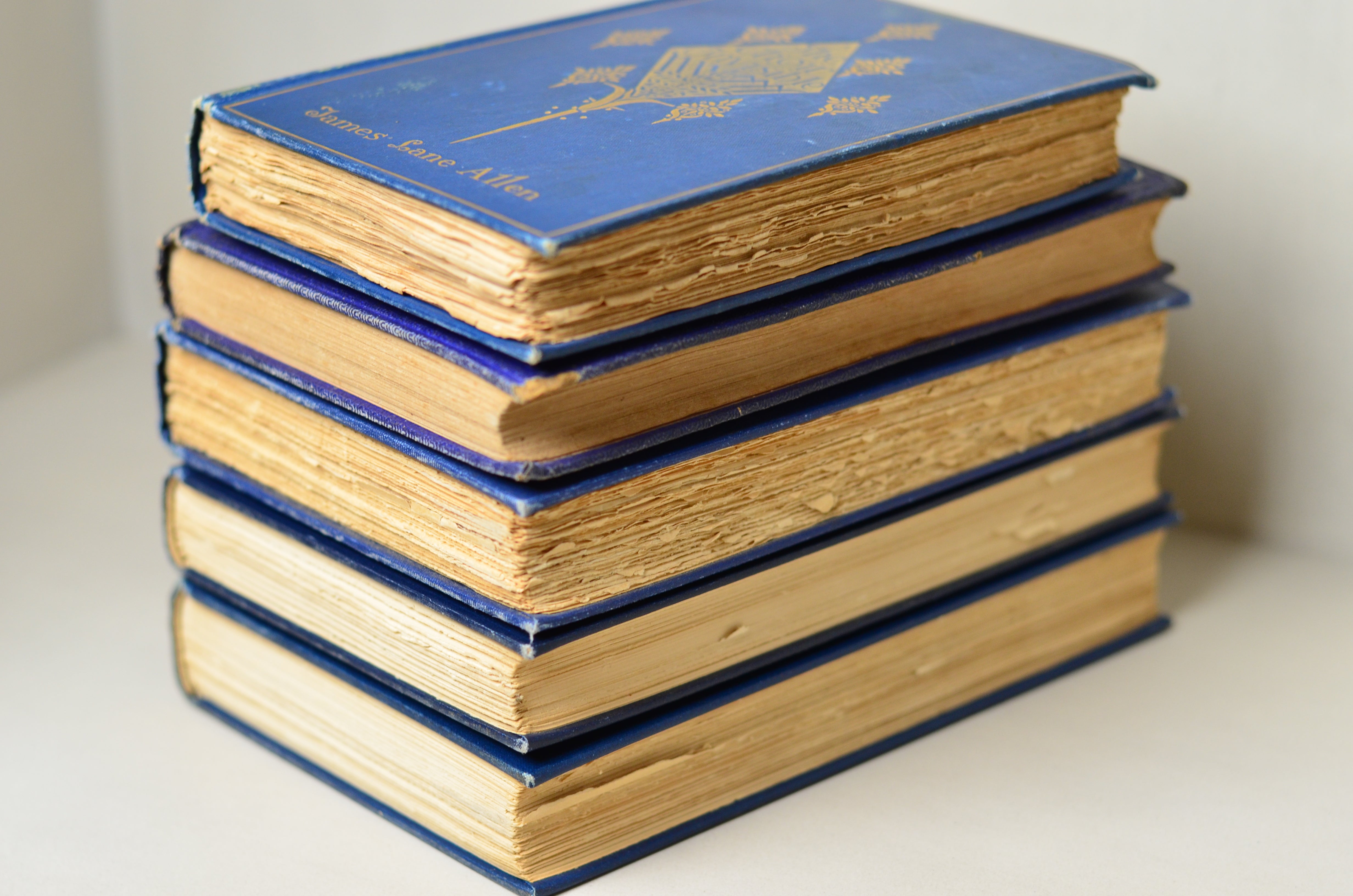 Blue Antique Cloth Book Set – 5 Books, James Lane Allen