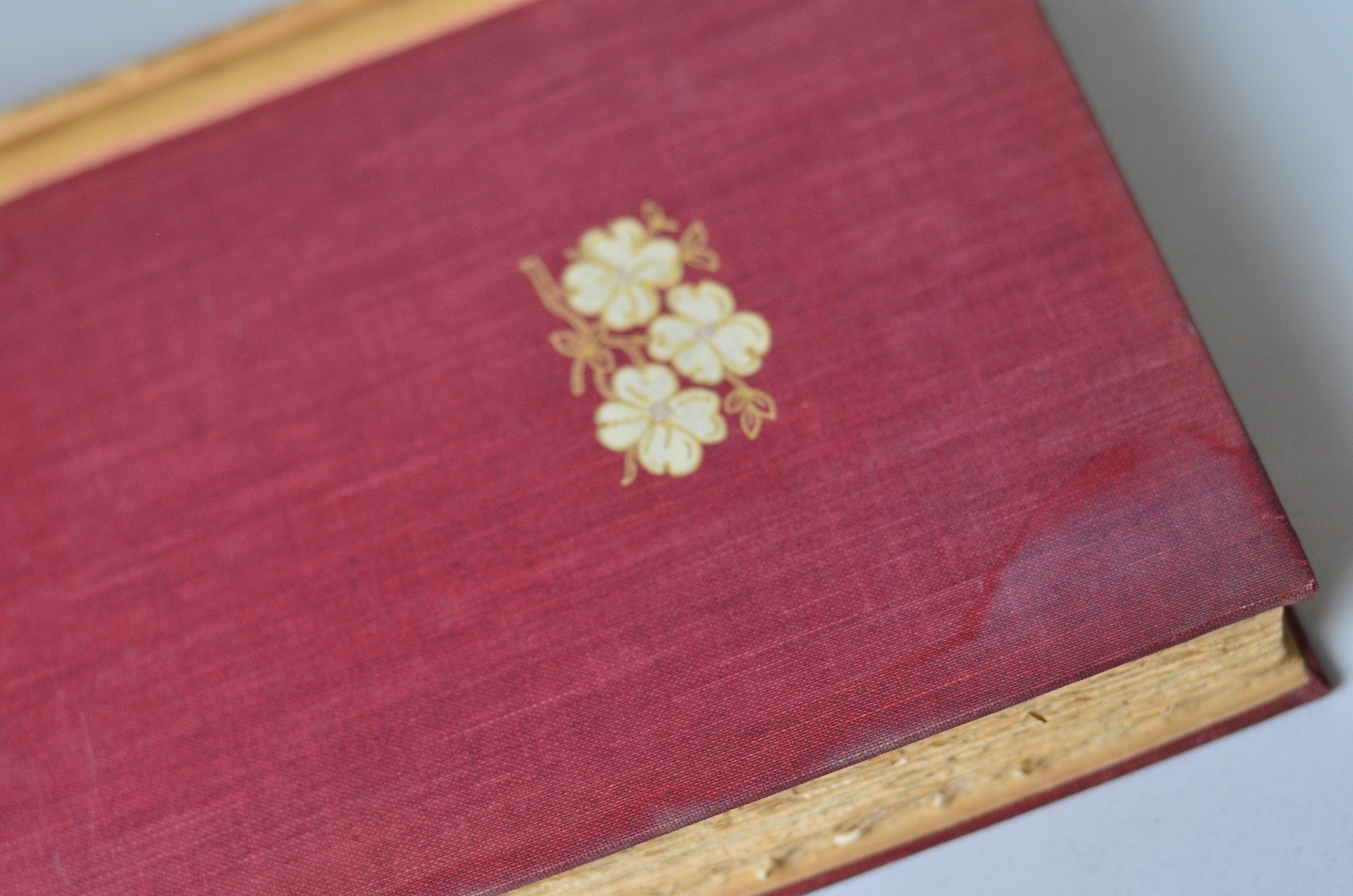Light Brown Antique Cloth Book Set – 11 Books, Ellen Glassgow