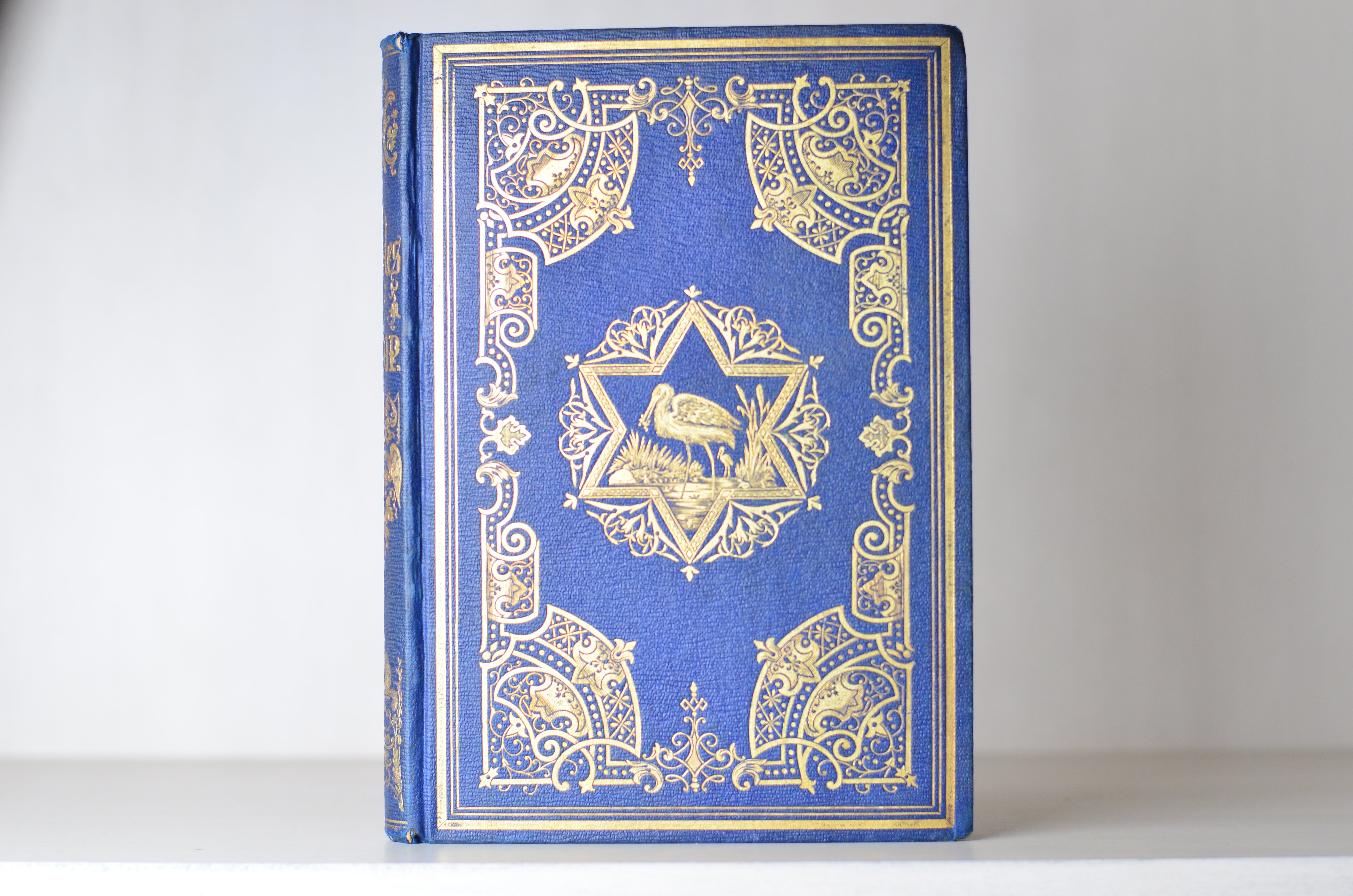 Decorative Early American Edition Aesop’s Fables 1848 - John Tenniel