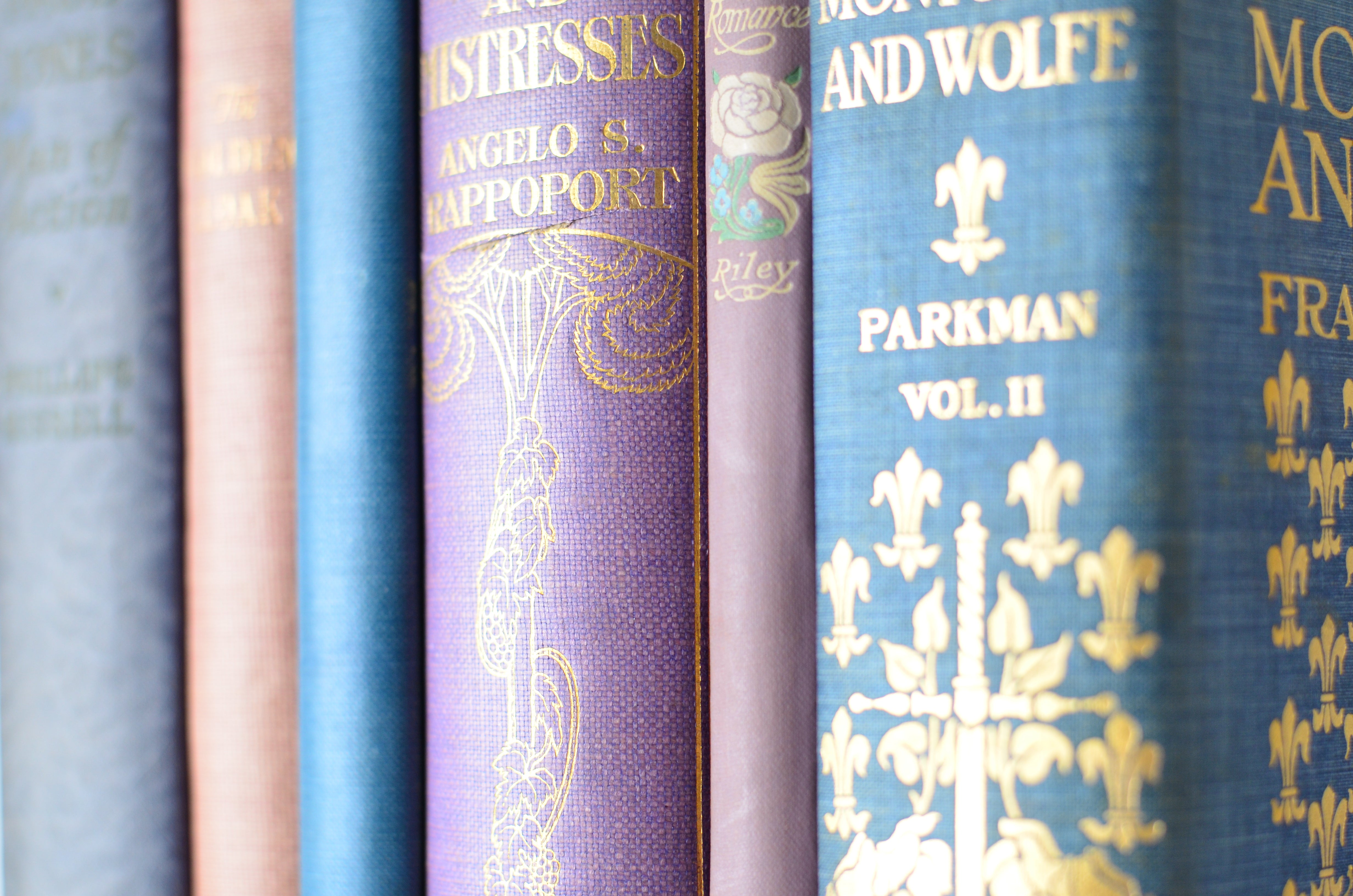 Pastel Antique Cloth Book Set – 6 Books, Royal Lovers and Mistresses