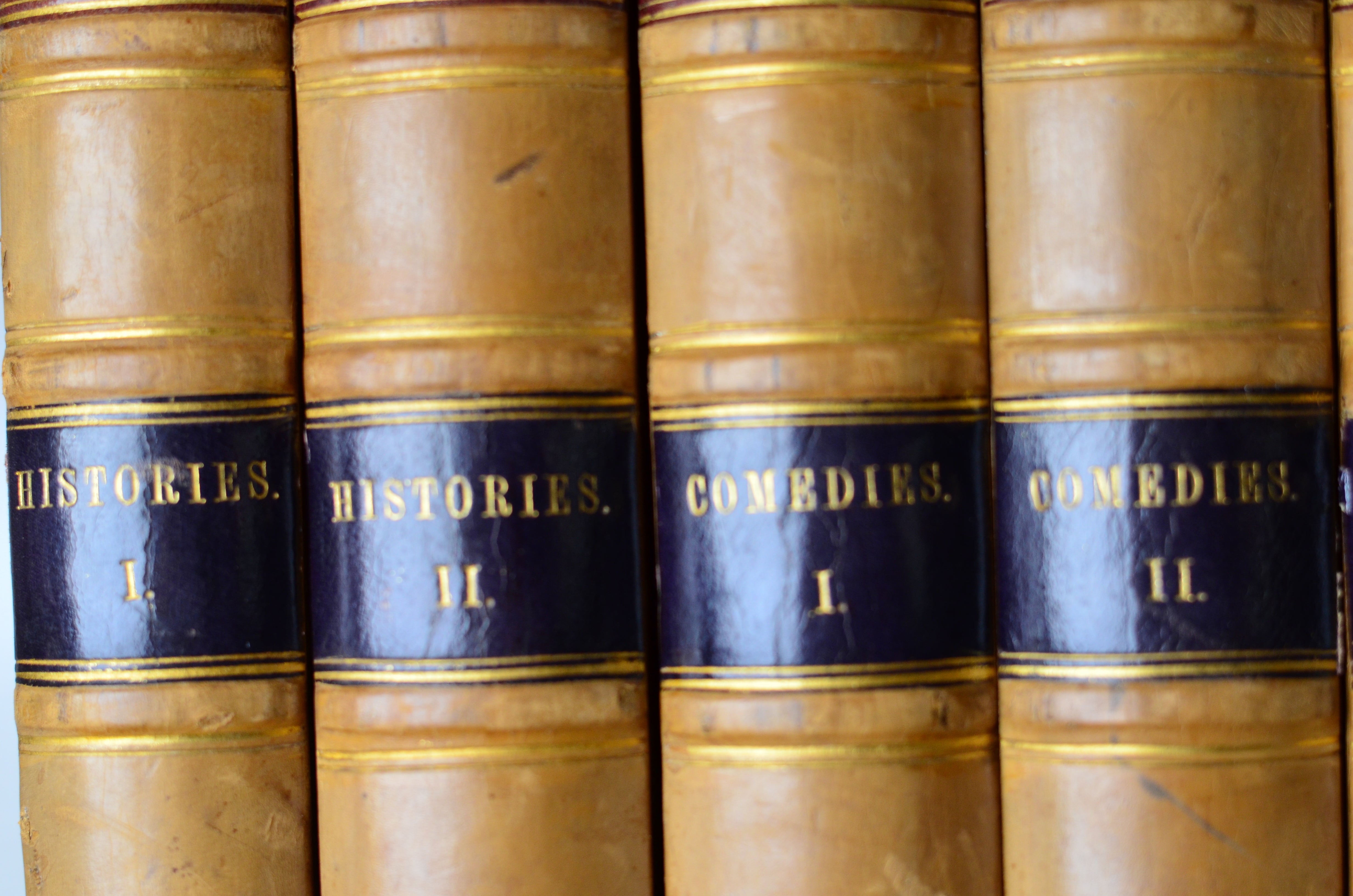 Antique Leather Bound Pictorial Works of William Shakespeare - Charles Knight c. 1843