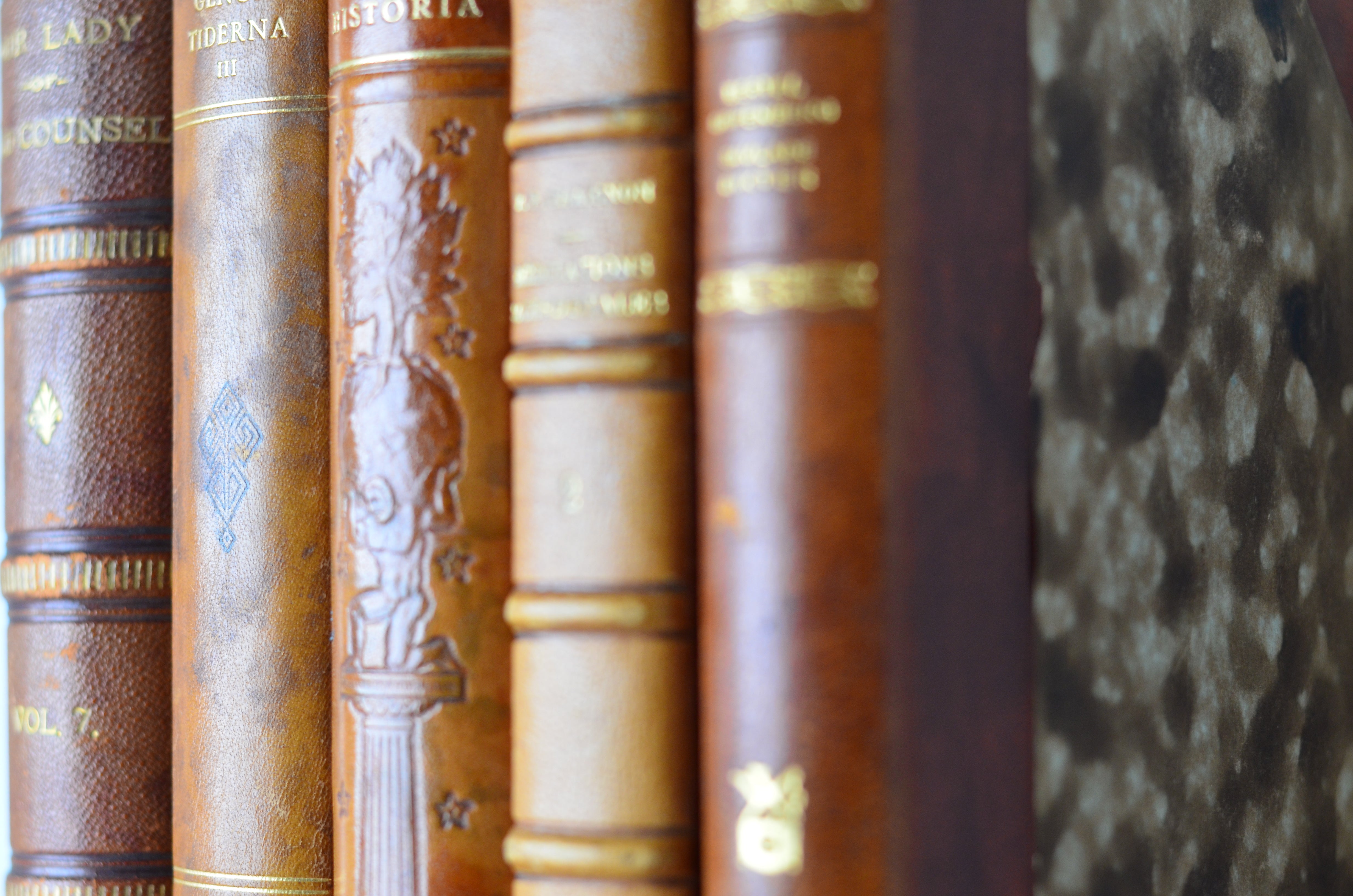 Light Brown Antique Leather Book Set – 5 Books, Foreign Authors