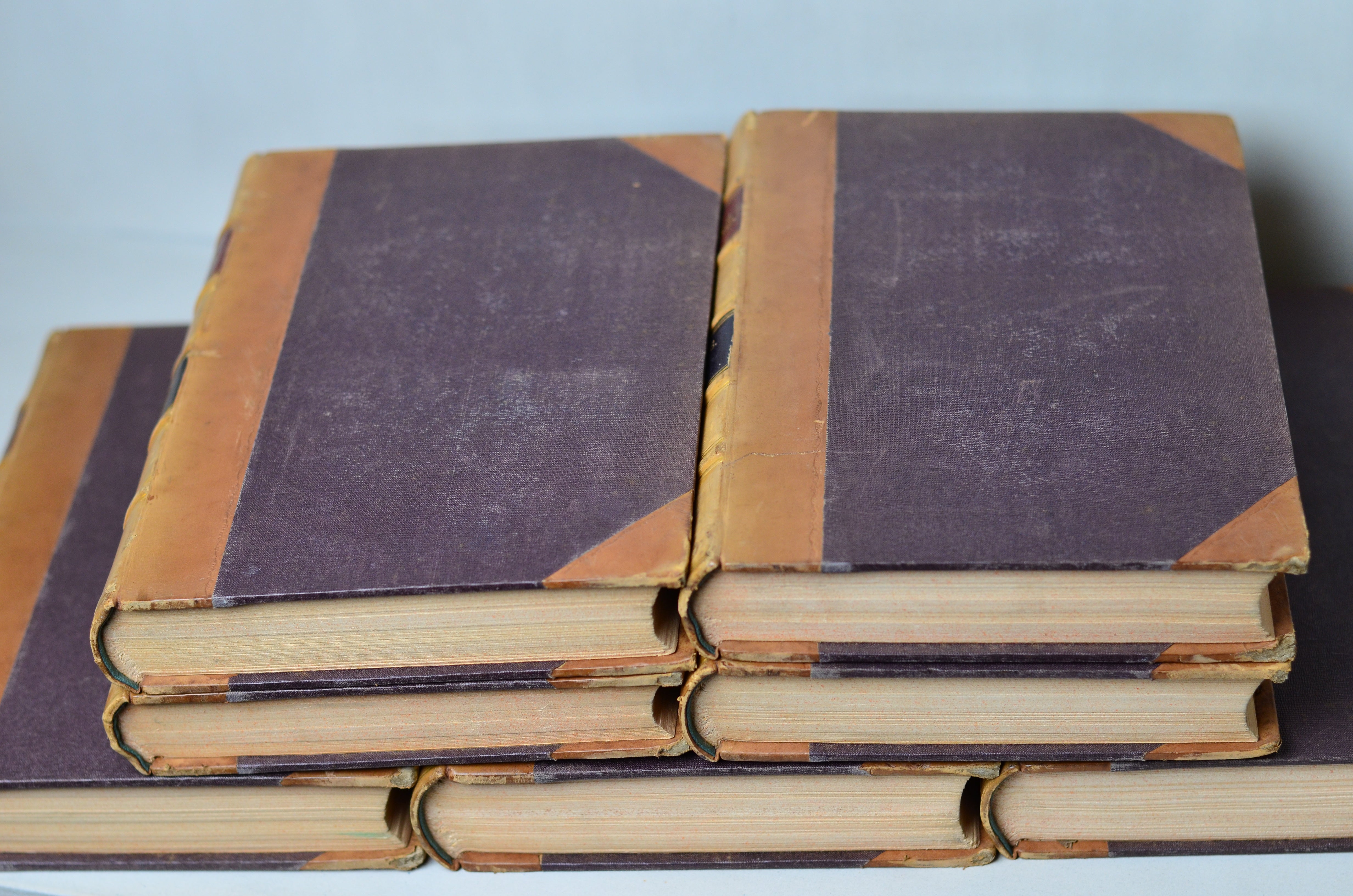 Antique Leather Bound Pictorial Works of William Shakespeare - Charles Knight c. 1843