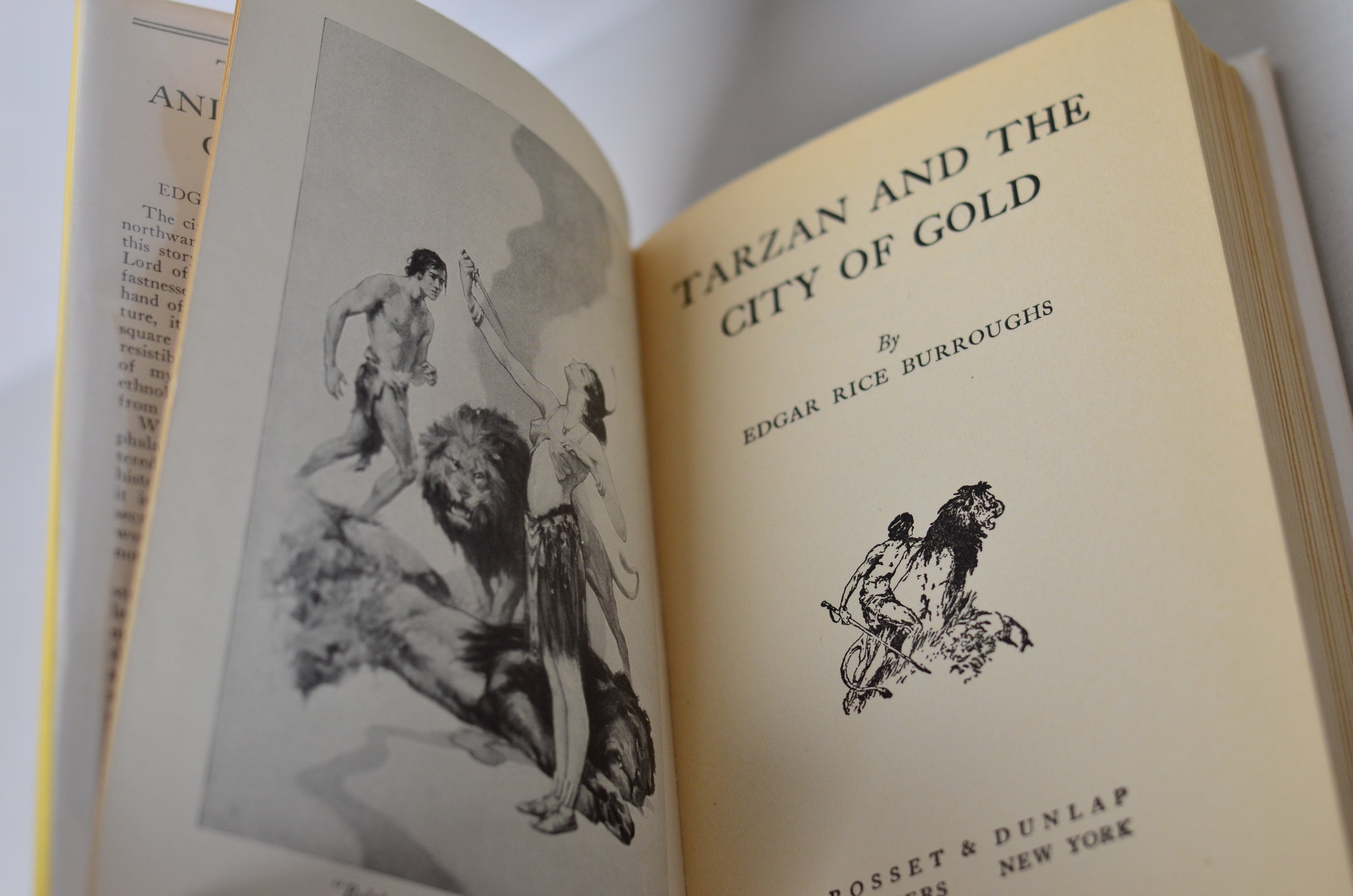 Tarzan of the Apes by Edgar Rice Burroughs - 14 Early Editions