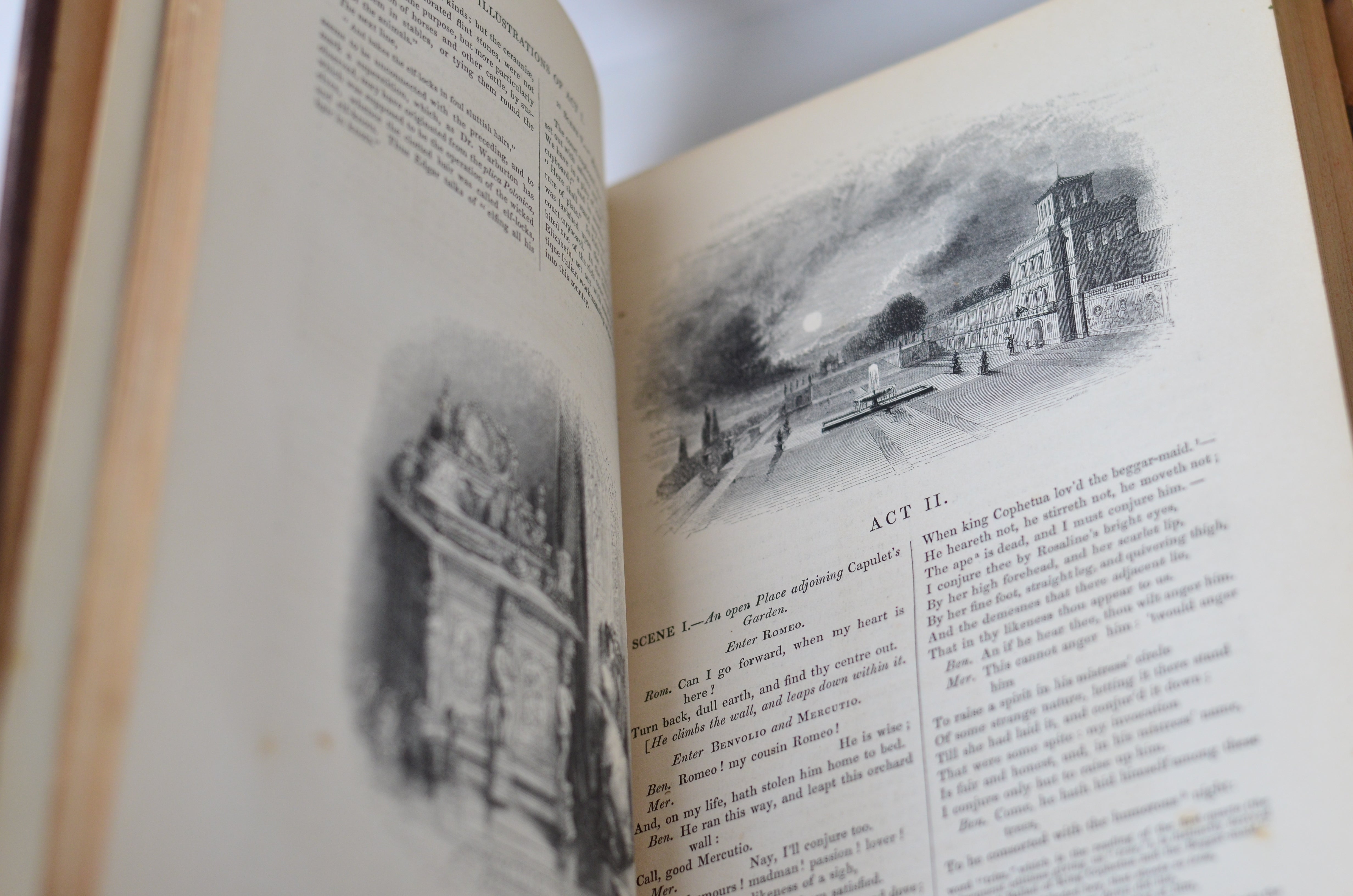 Antique Leather Bound Pictorial Works of William Shakespeare - Charles Knight c. 1843