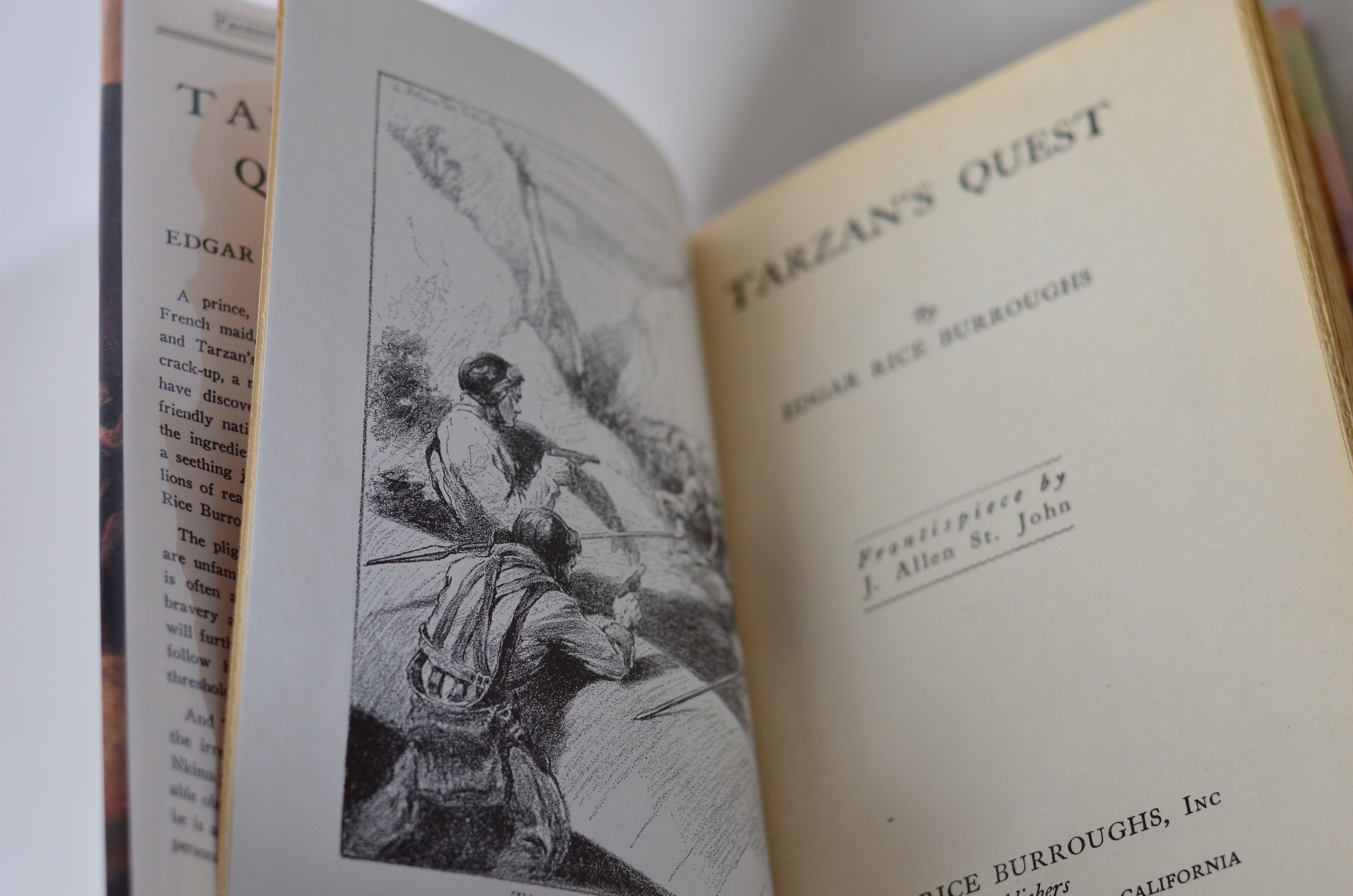 Tarzan of the Apes by Edgar Rice Burroughs - 14 Early Editions