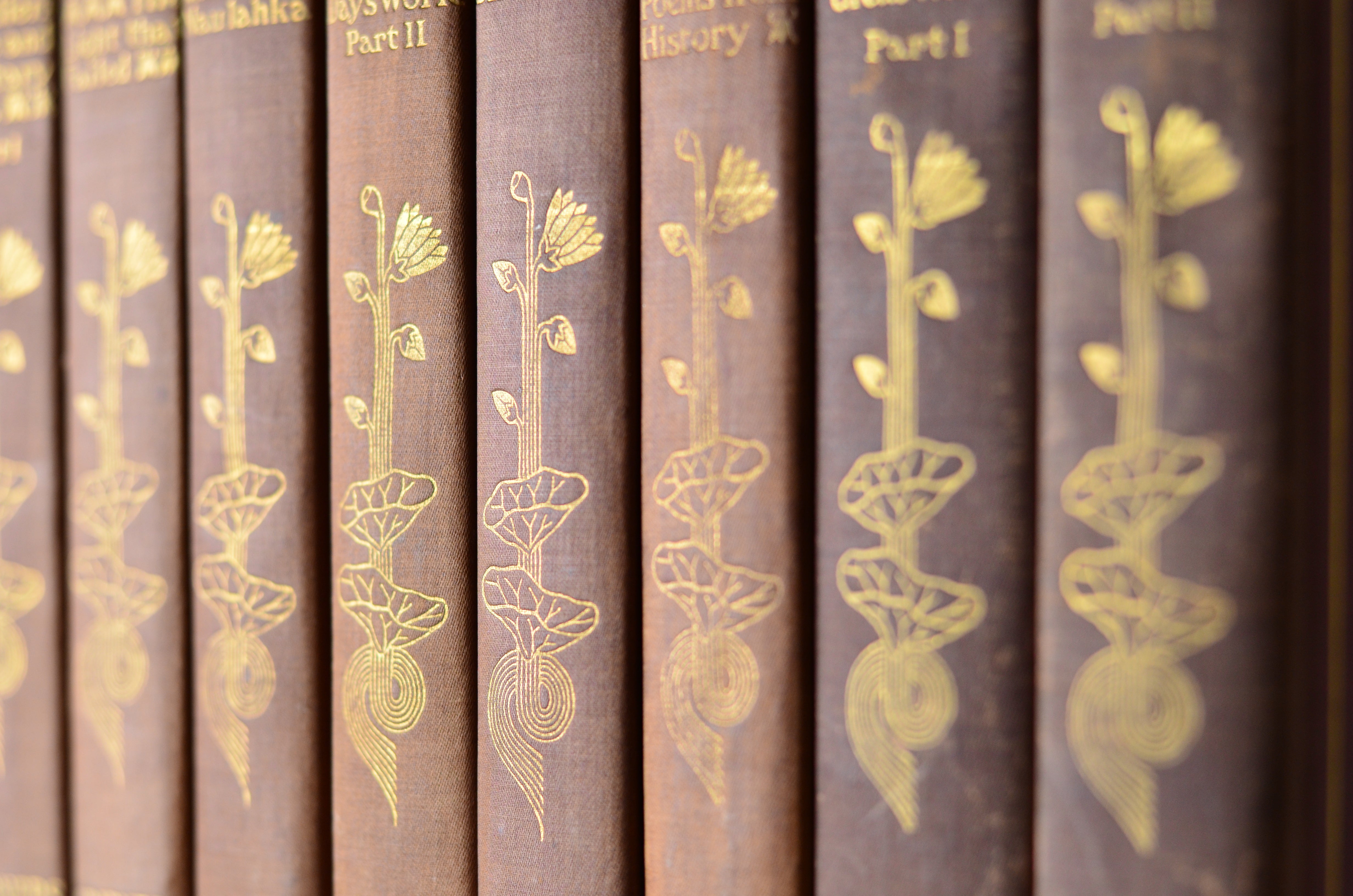 Dark Brown Antique Cloth Book Set – 8 Books, Rudyard Kipling