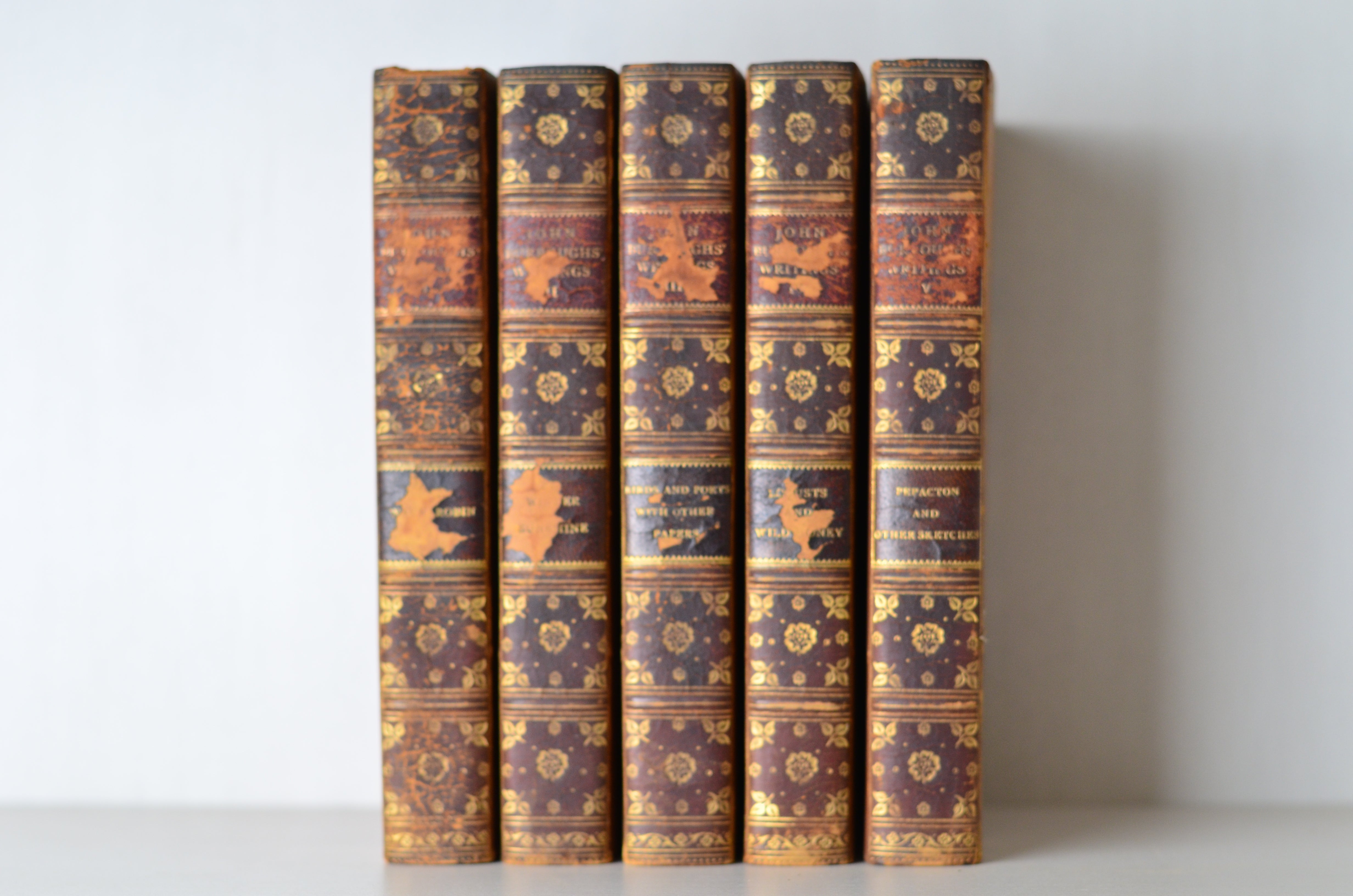 Dark Brown Antique Leather Book Set – 5 Books, John Burroughs, Nature Writings