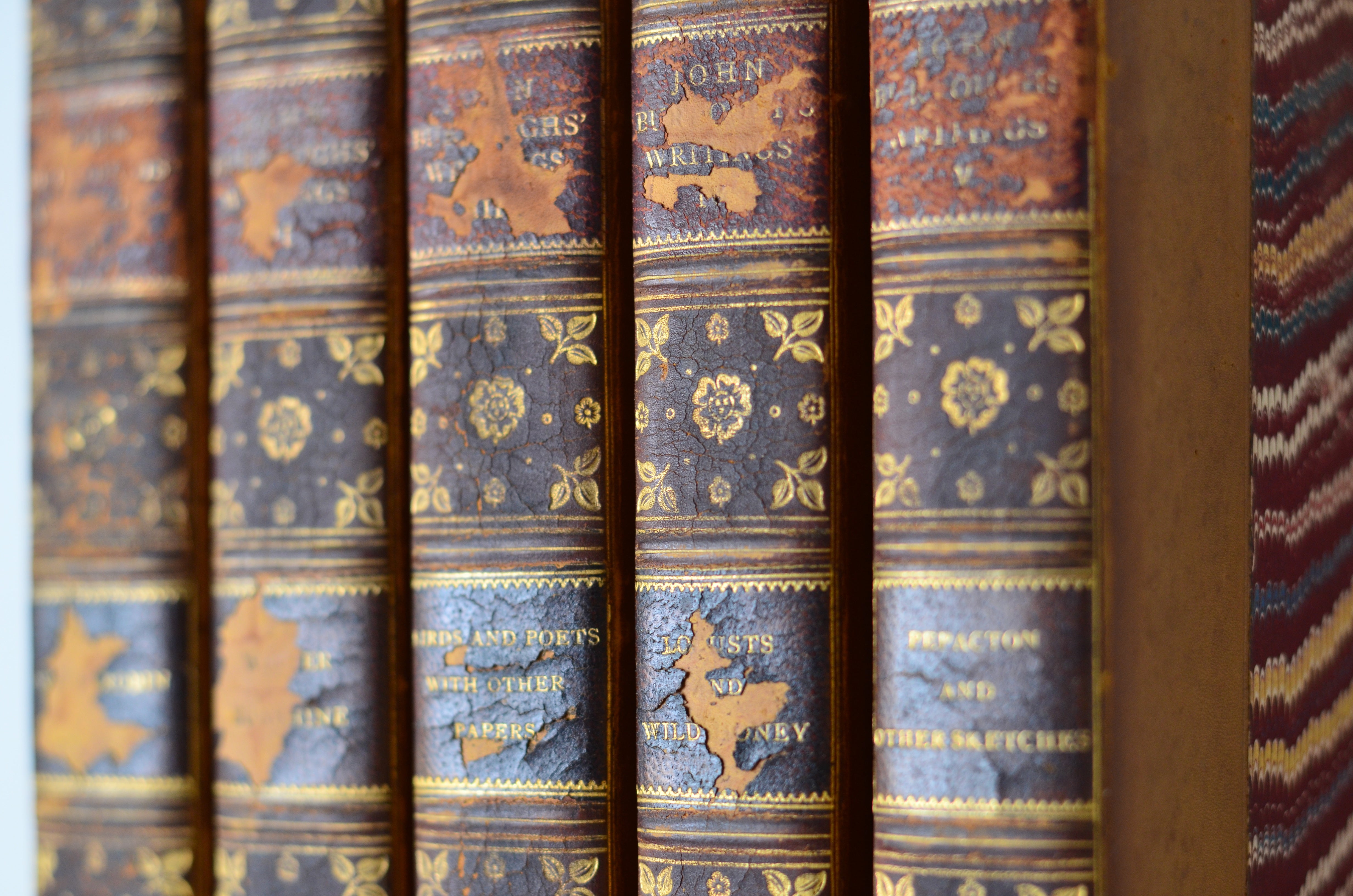 Dark Brown Antique Leather Book Set – 5 Books, John Burroughs, Nature Writings