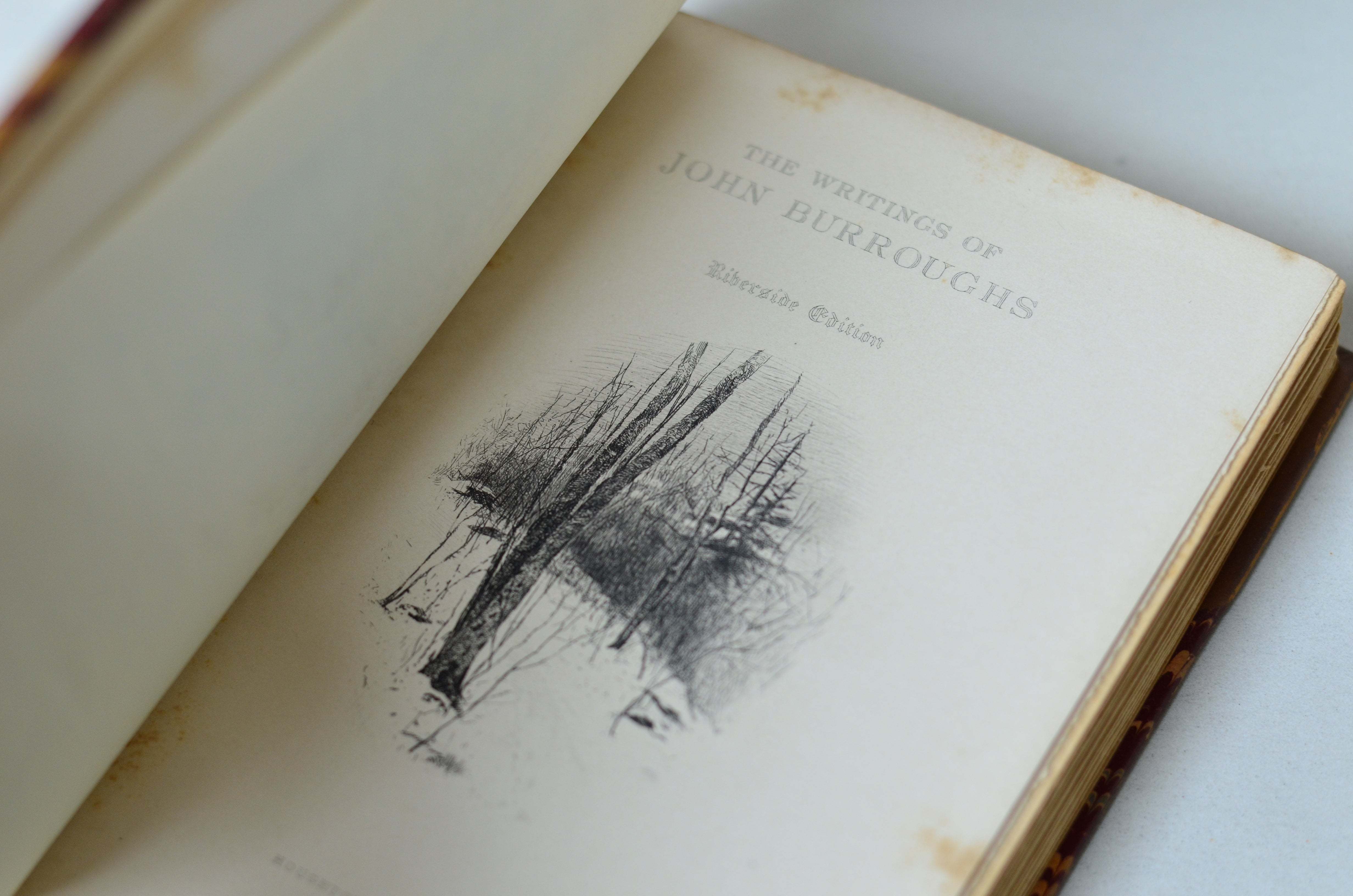 Dark Brown Antique Leather Book Set – 5 Books, John Burroughs, Nature Writings