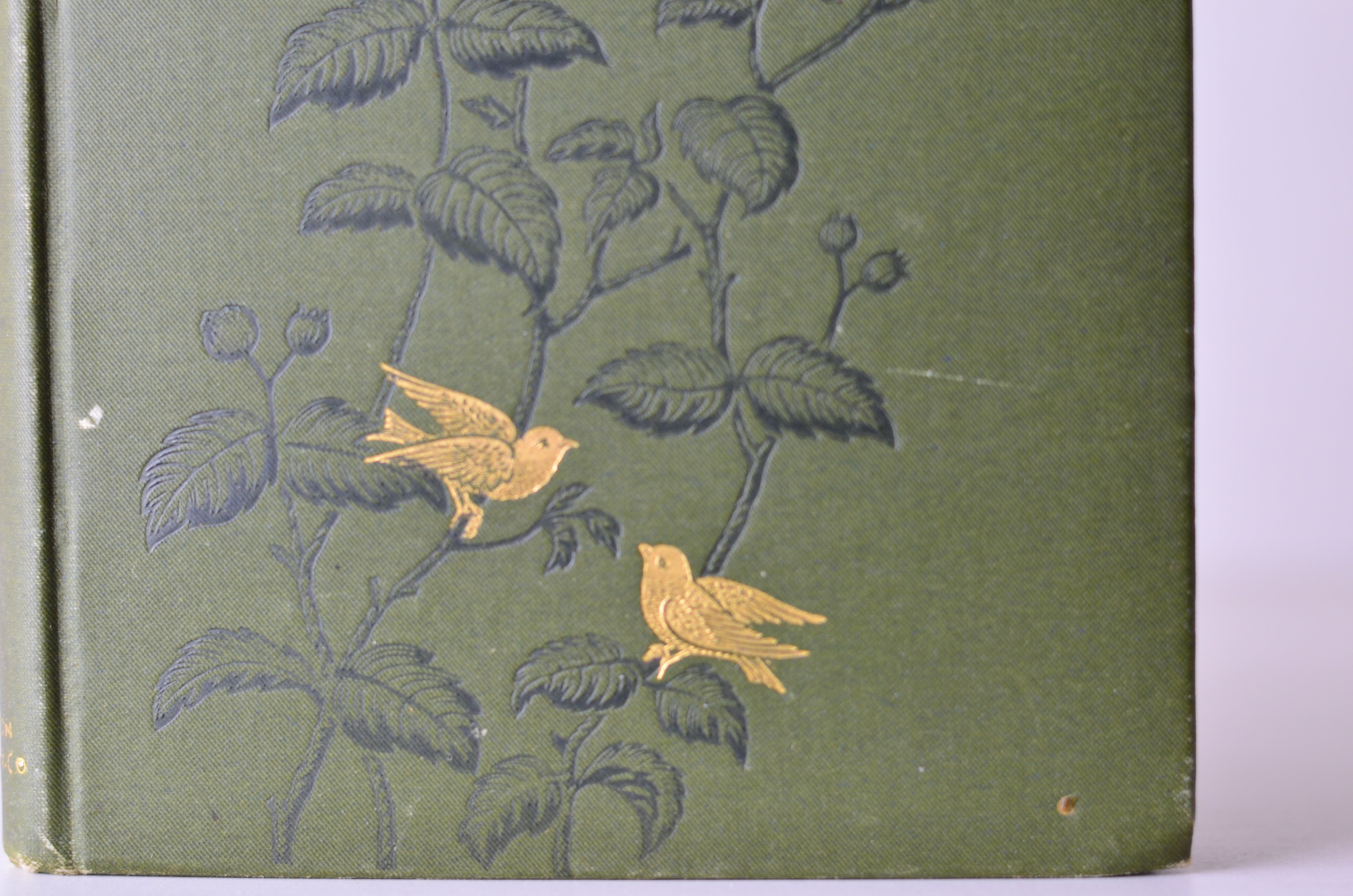 Antique Decorative Binding Birds in the Bush by Bradford Torrey 1885