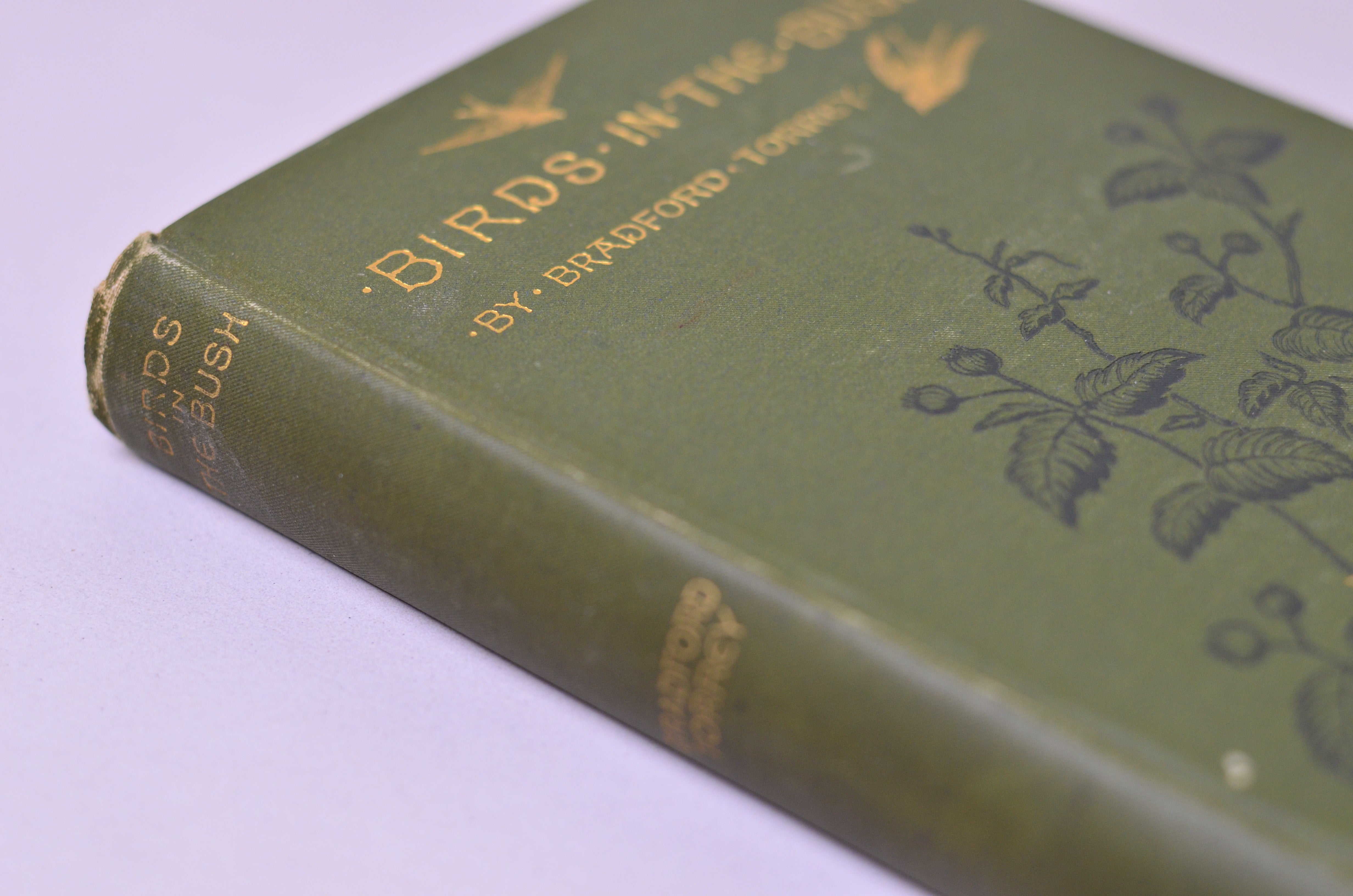 Antique Decorative Binding Birds in the Bush by Bradford Torrey 1885