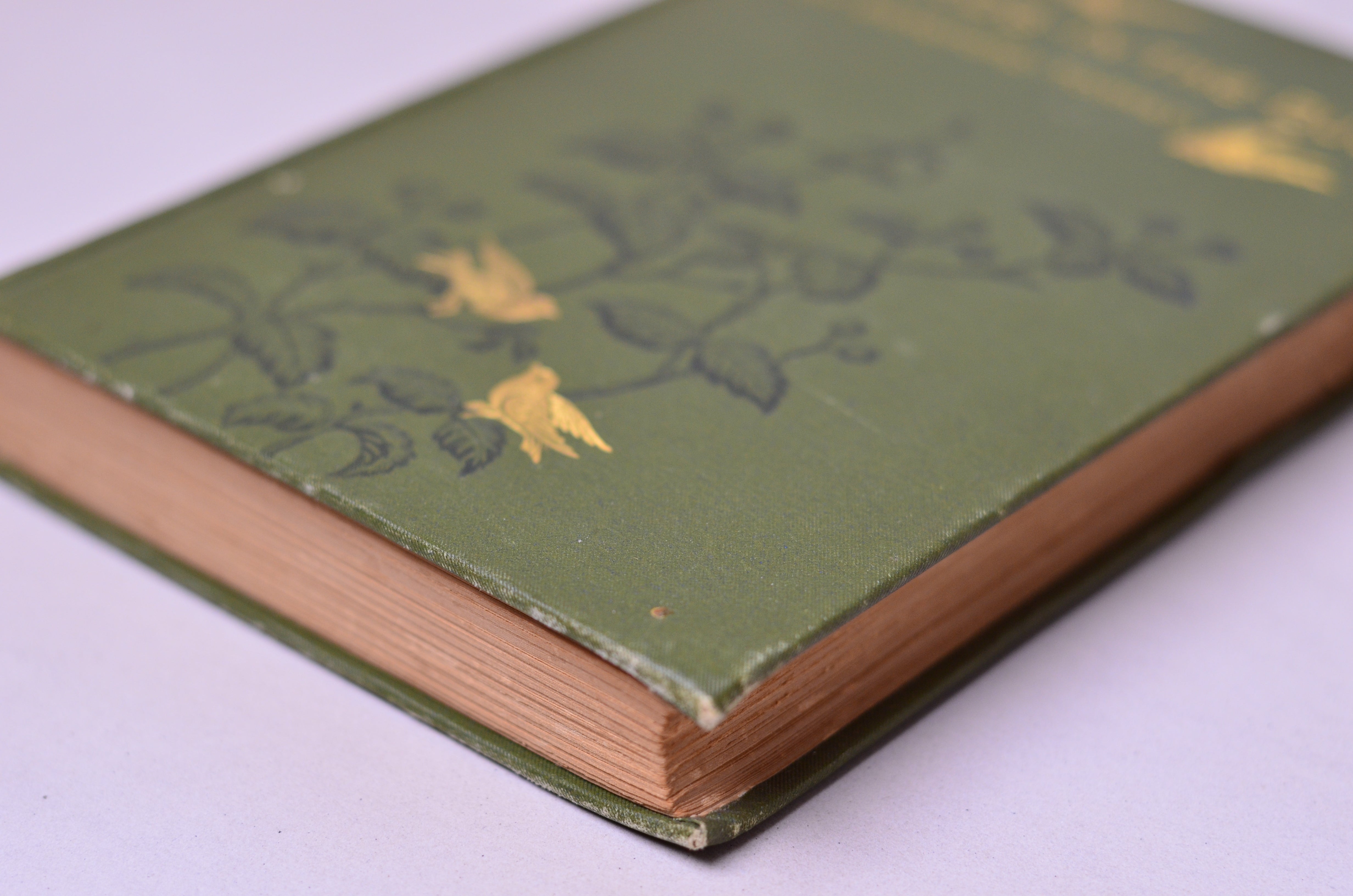 Antique Decorative Binding Birds in the Bush by Bradford Torrey 1885