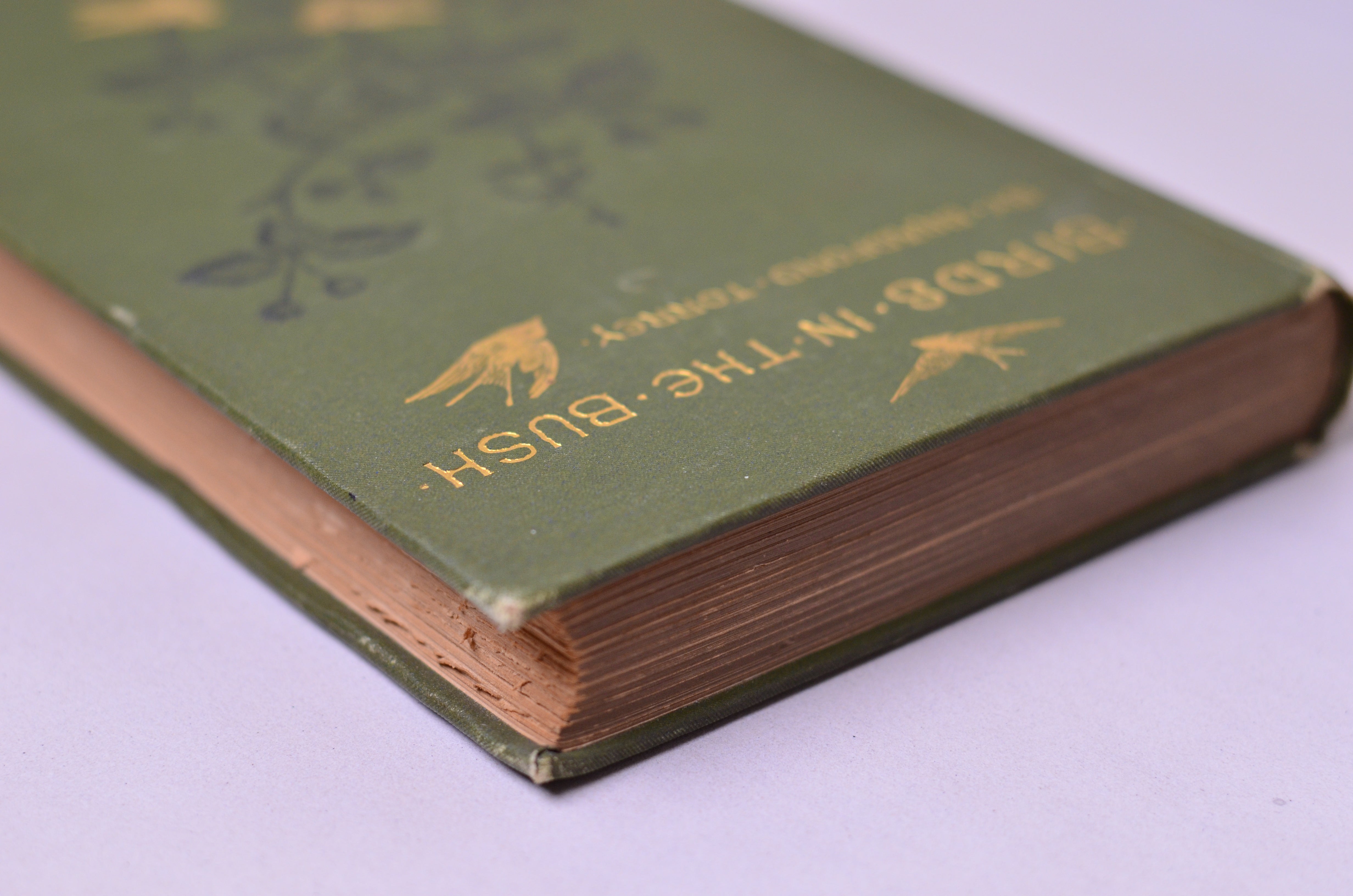 Antique Decorative Binding Birds in the Bush by Bradford Torrey 1885