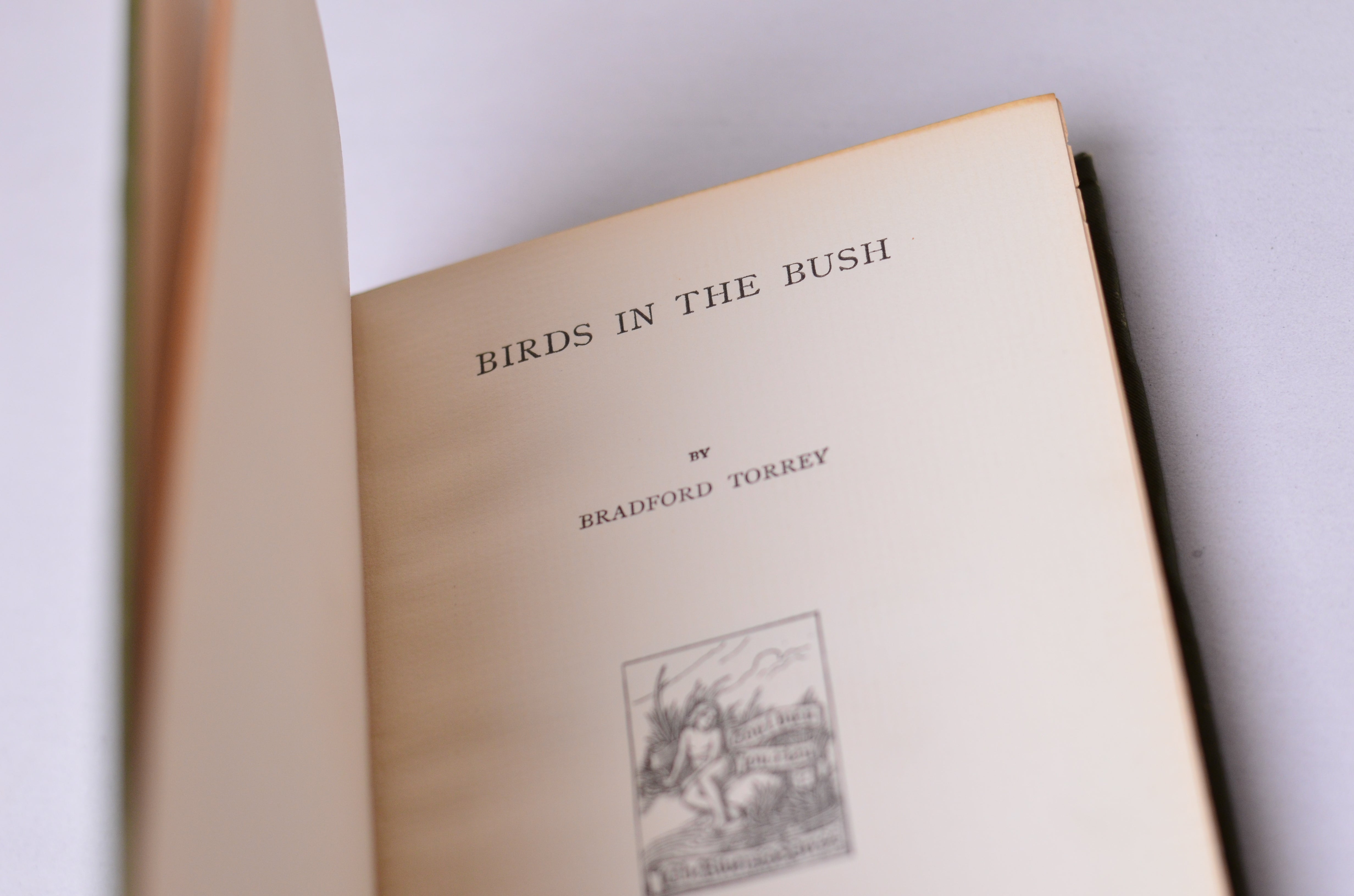 Antique Decorative Binding Birds in the Bush by Bradford Torrey 1885