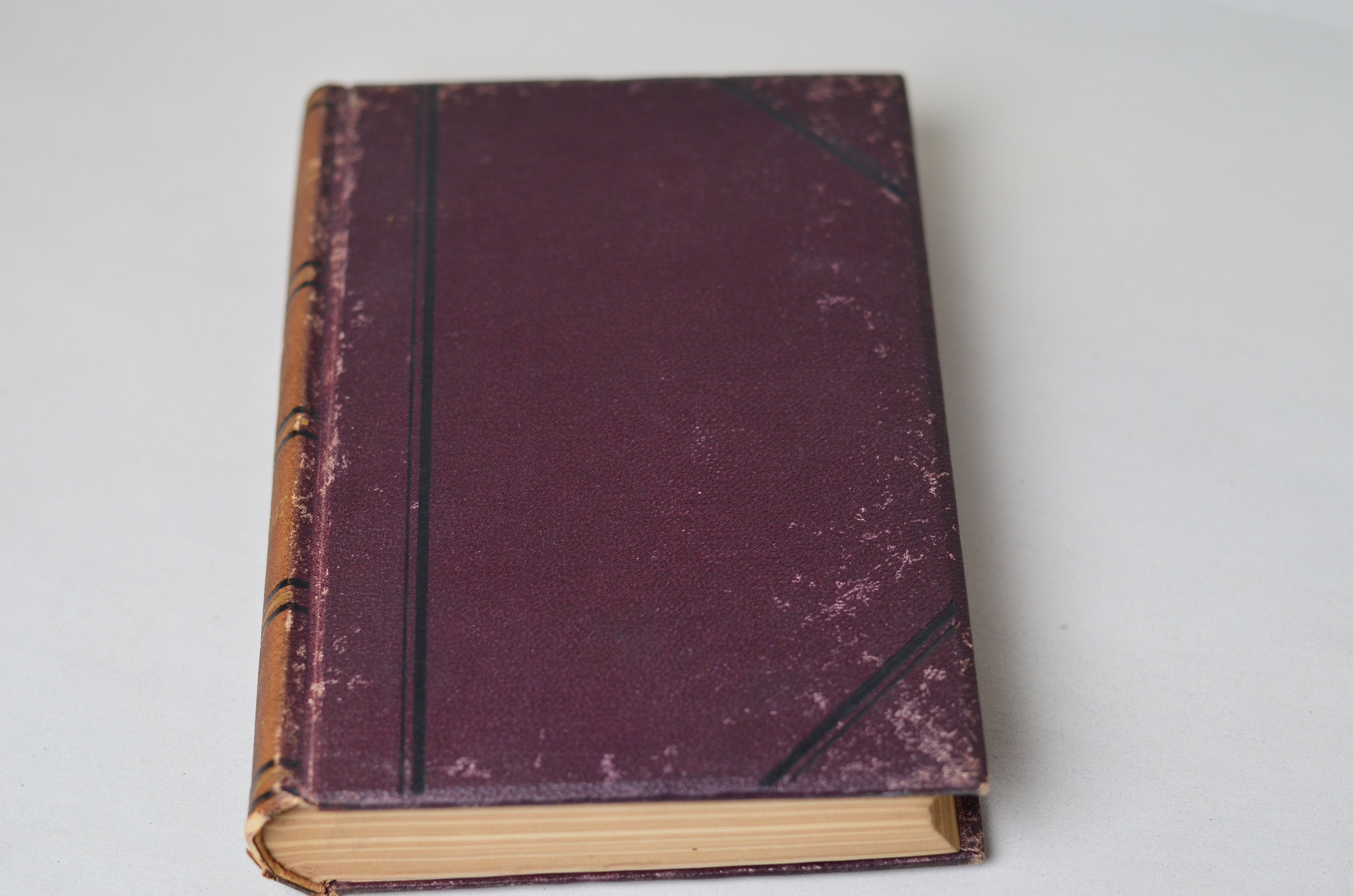 Antique Adam Bede by George Eliot 1884