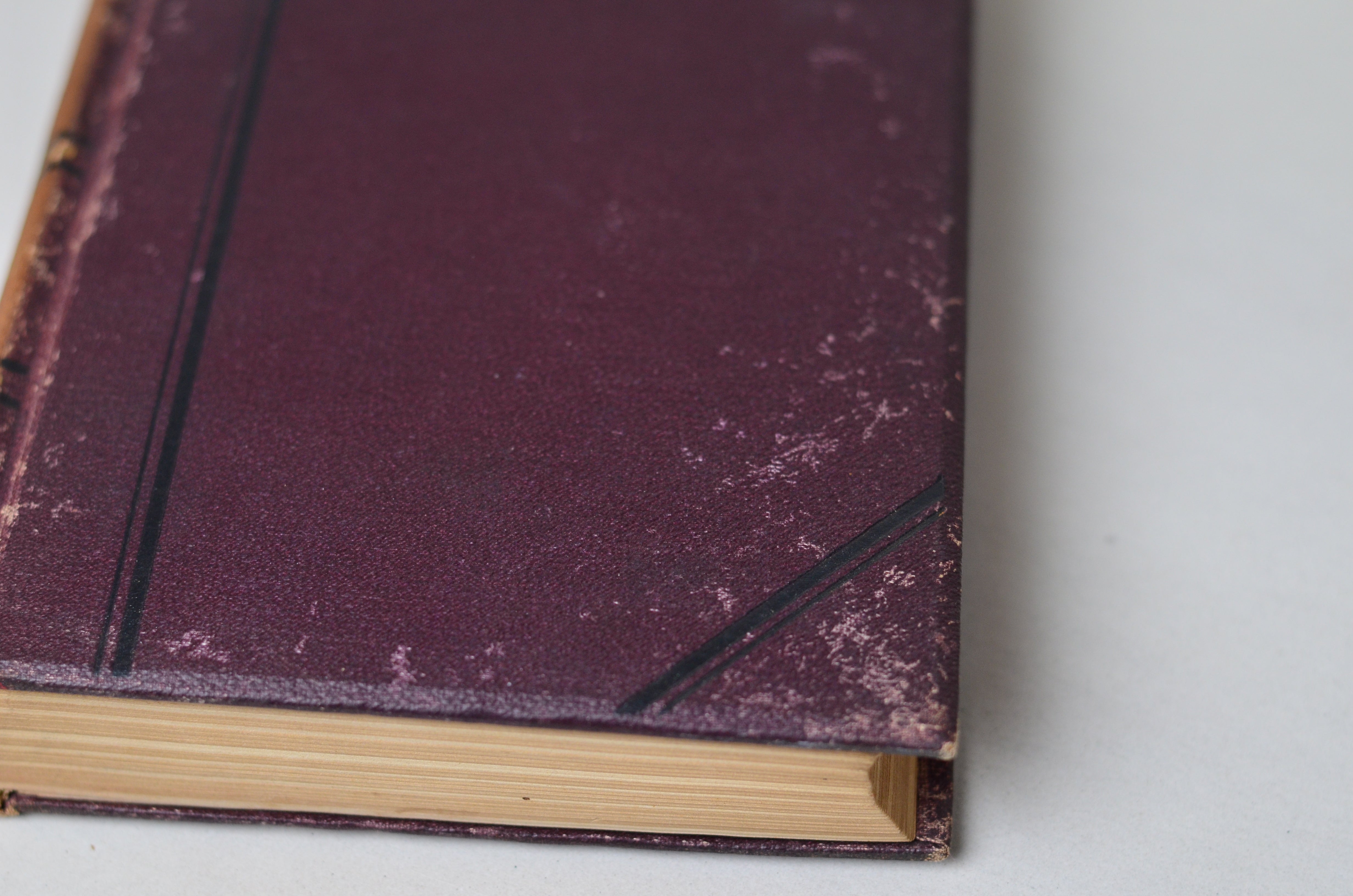 Antique Adam Bede by George Eliot 1884