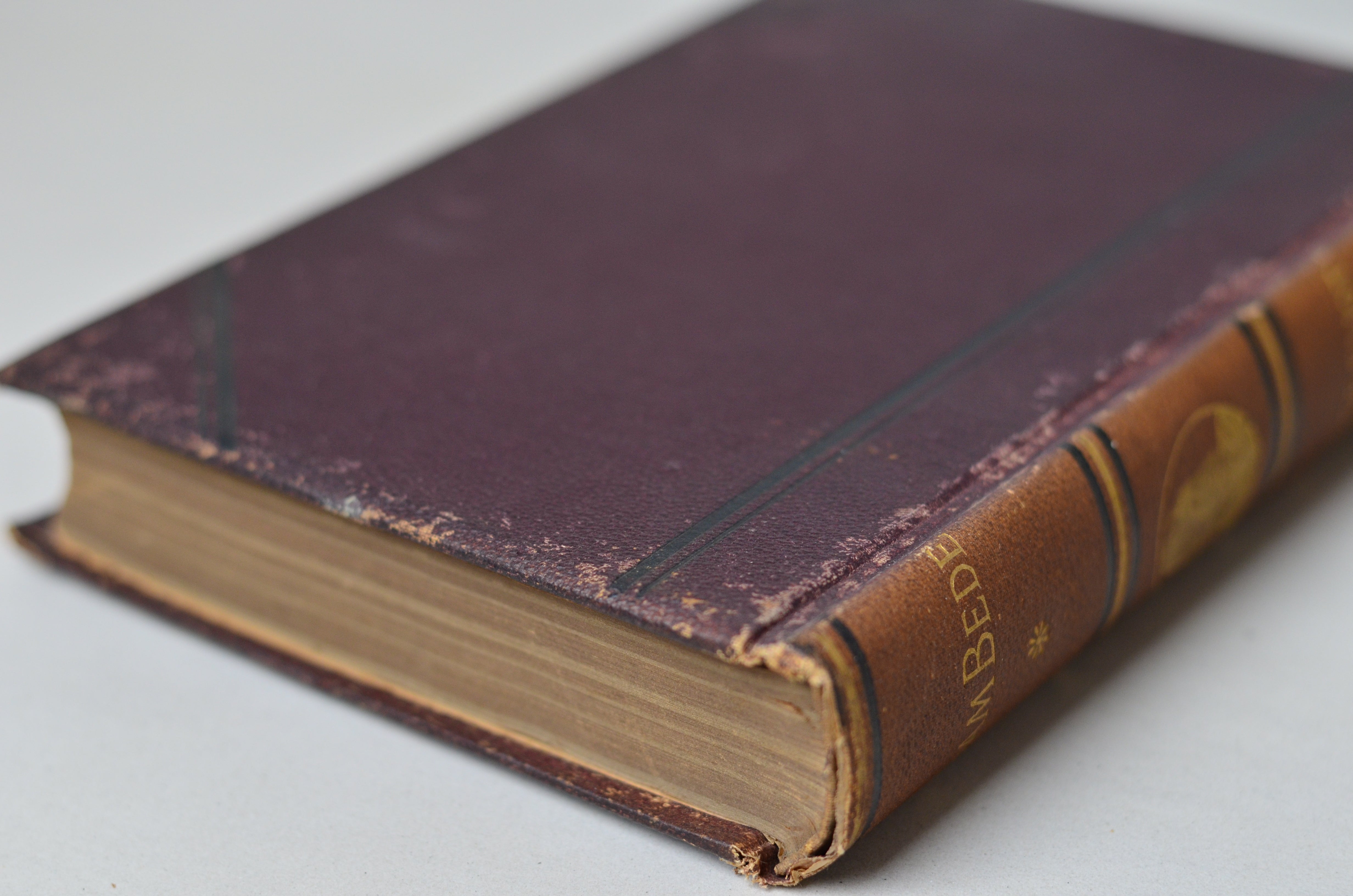 Antique Adam Bede by George Eliot 1884